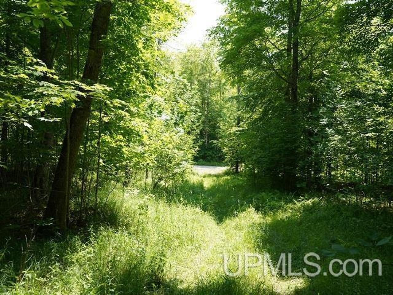 50 Acres Big Manistique Lake Prop 50114569