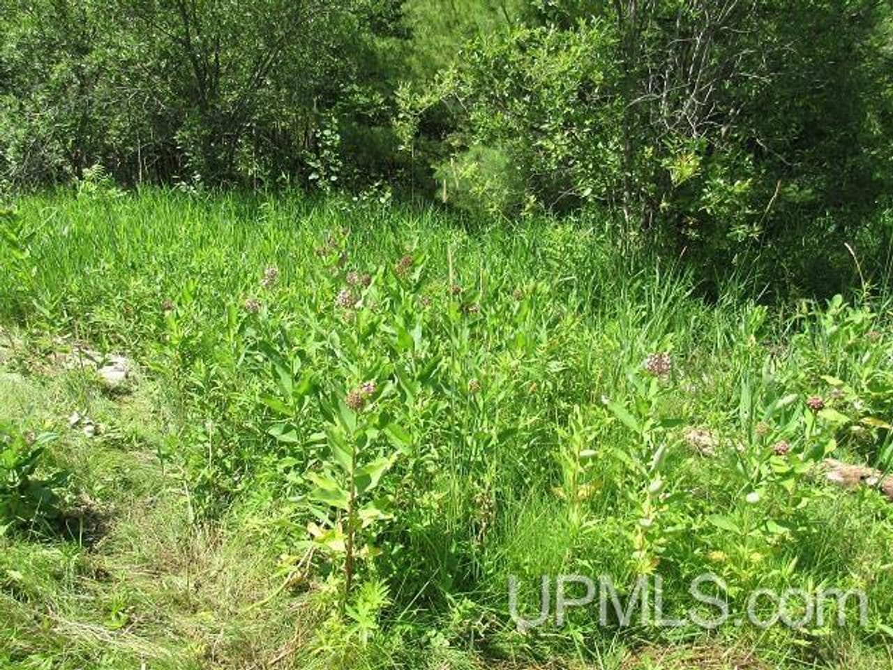 50 Acres Big Manistique Lake Prop 50114569