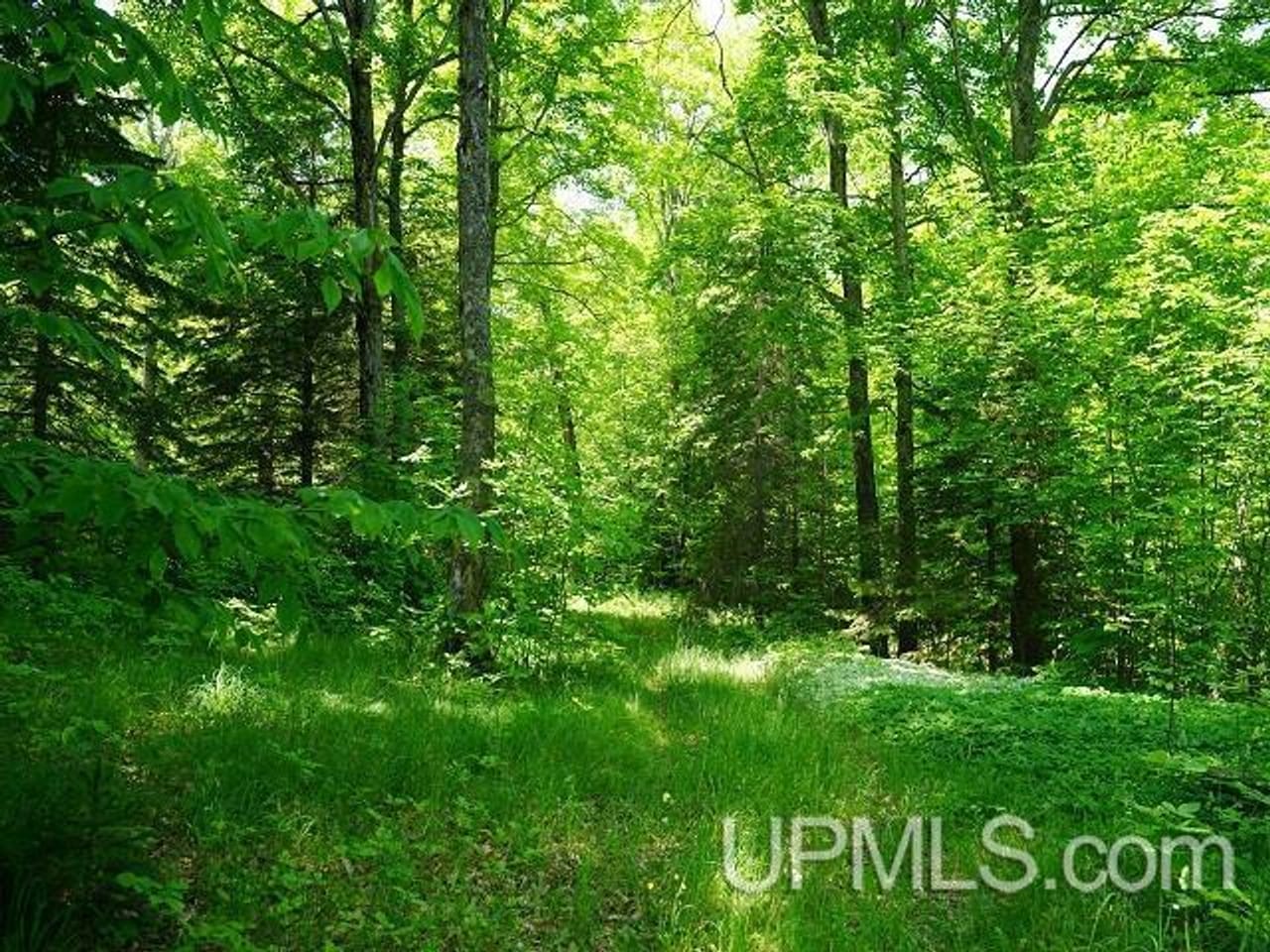 50 Acres Big Manistique Lake Prop 50114569