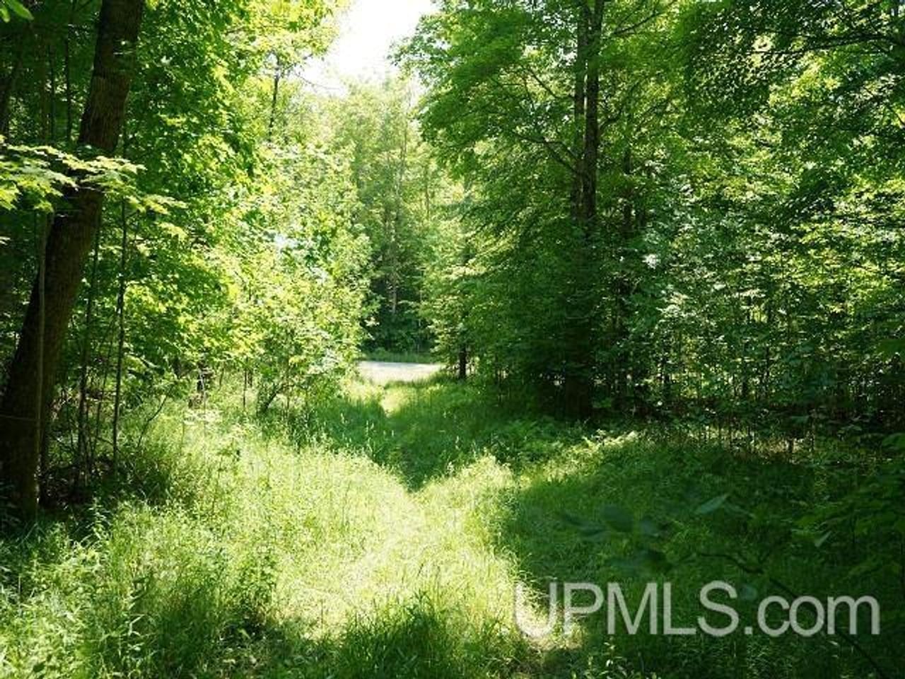50 Acres Big Manistique Lake Prop 50114569