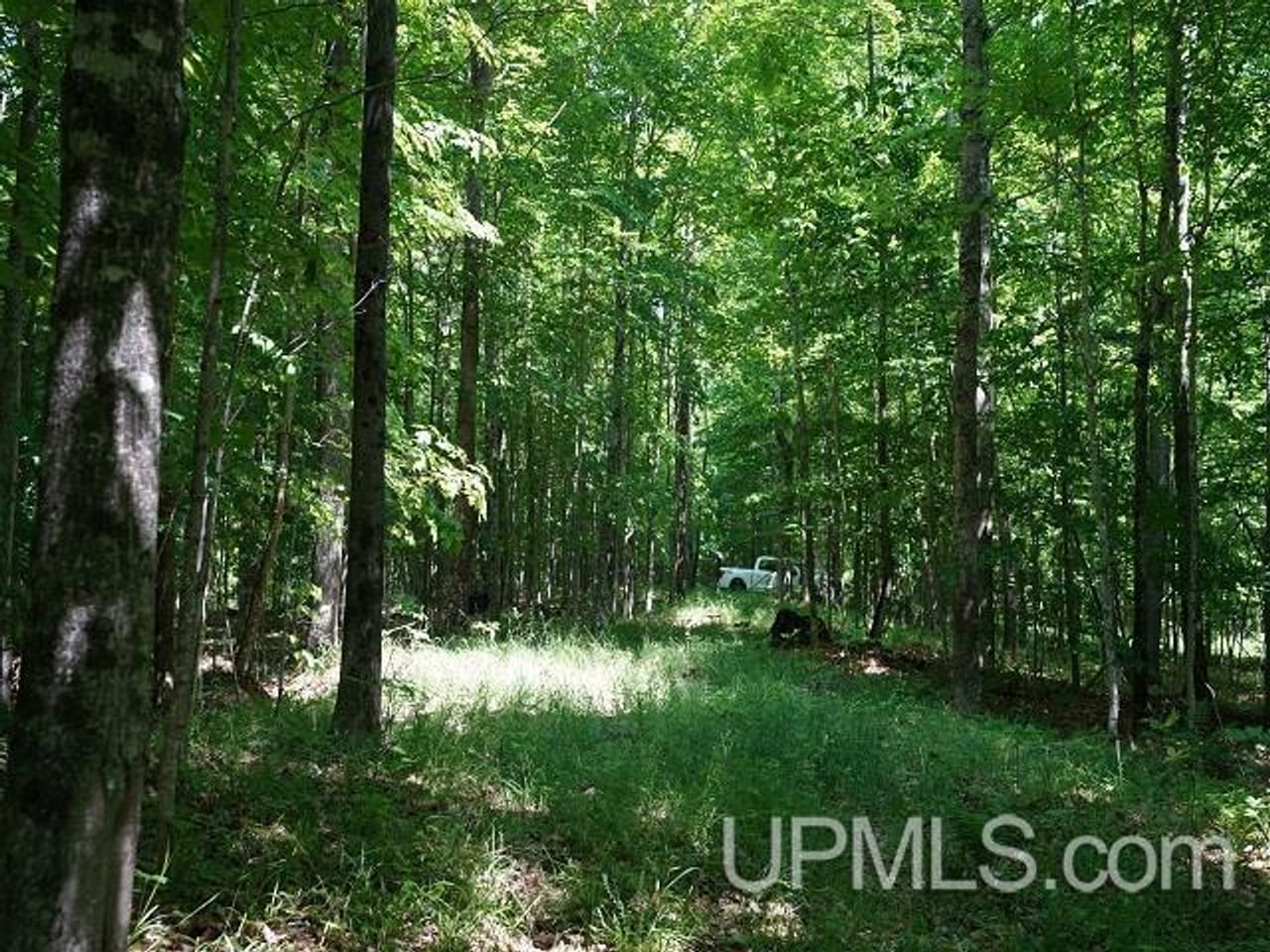 50 Acres Big Manistique Lake Prop 50114569
