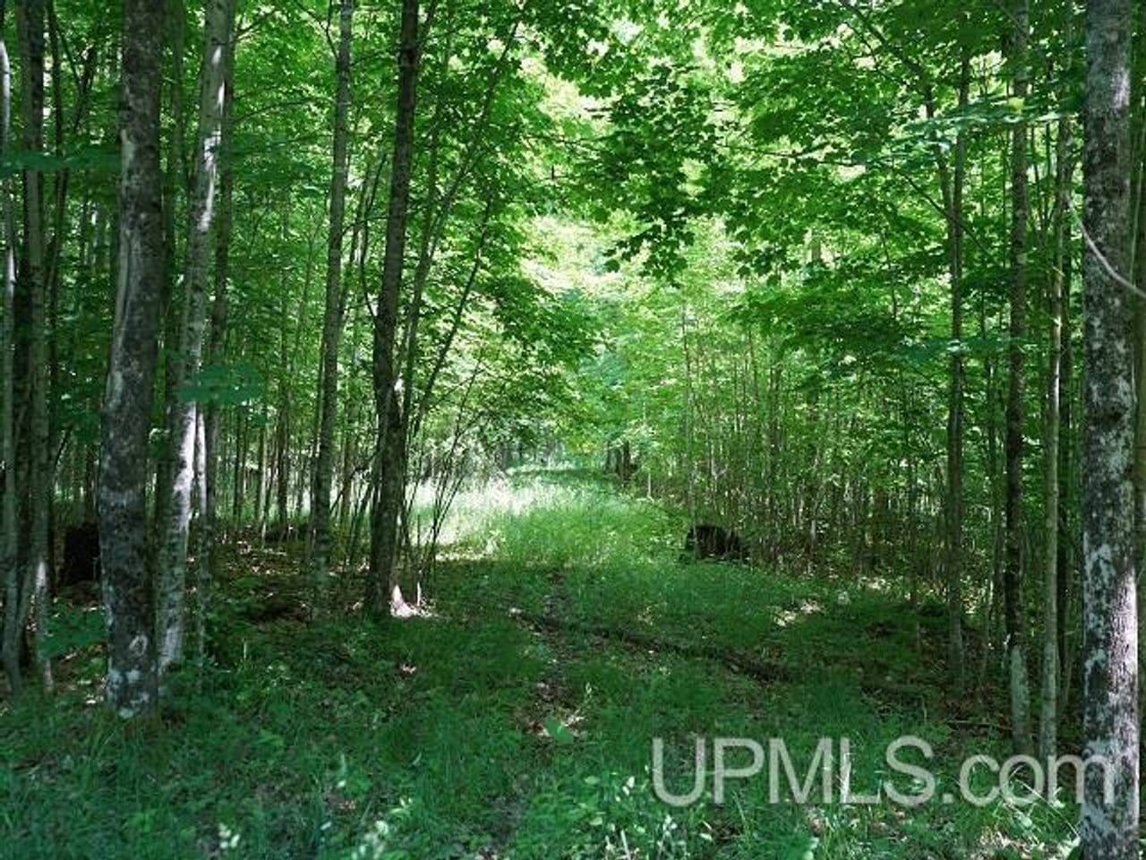 50 Acres Big Manistique Lake Prop 50114569