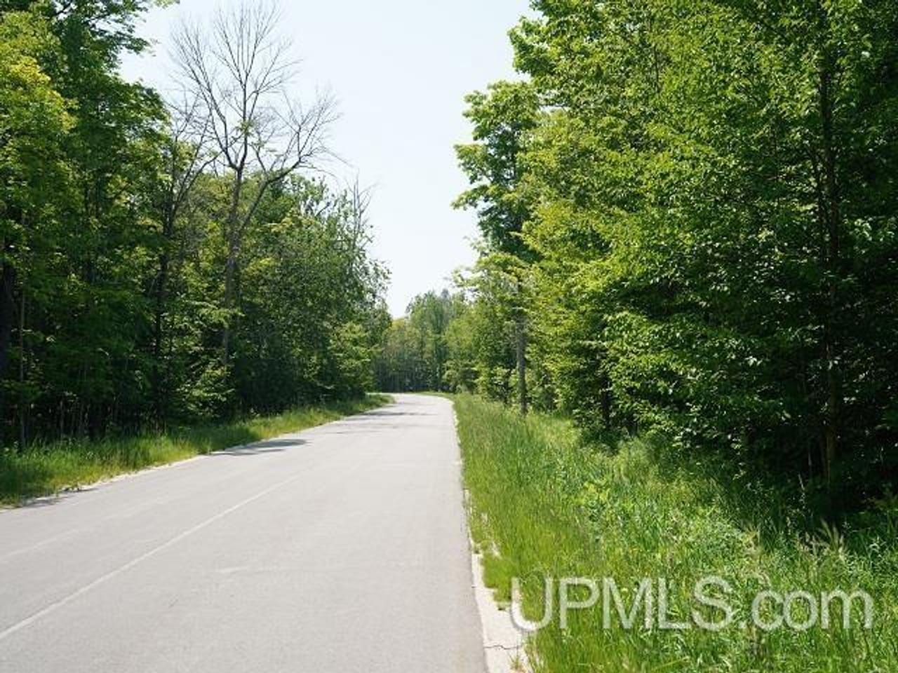 50 Acres Big Manistique Lake Prop 50114569
