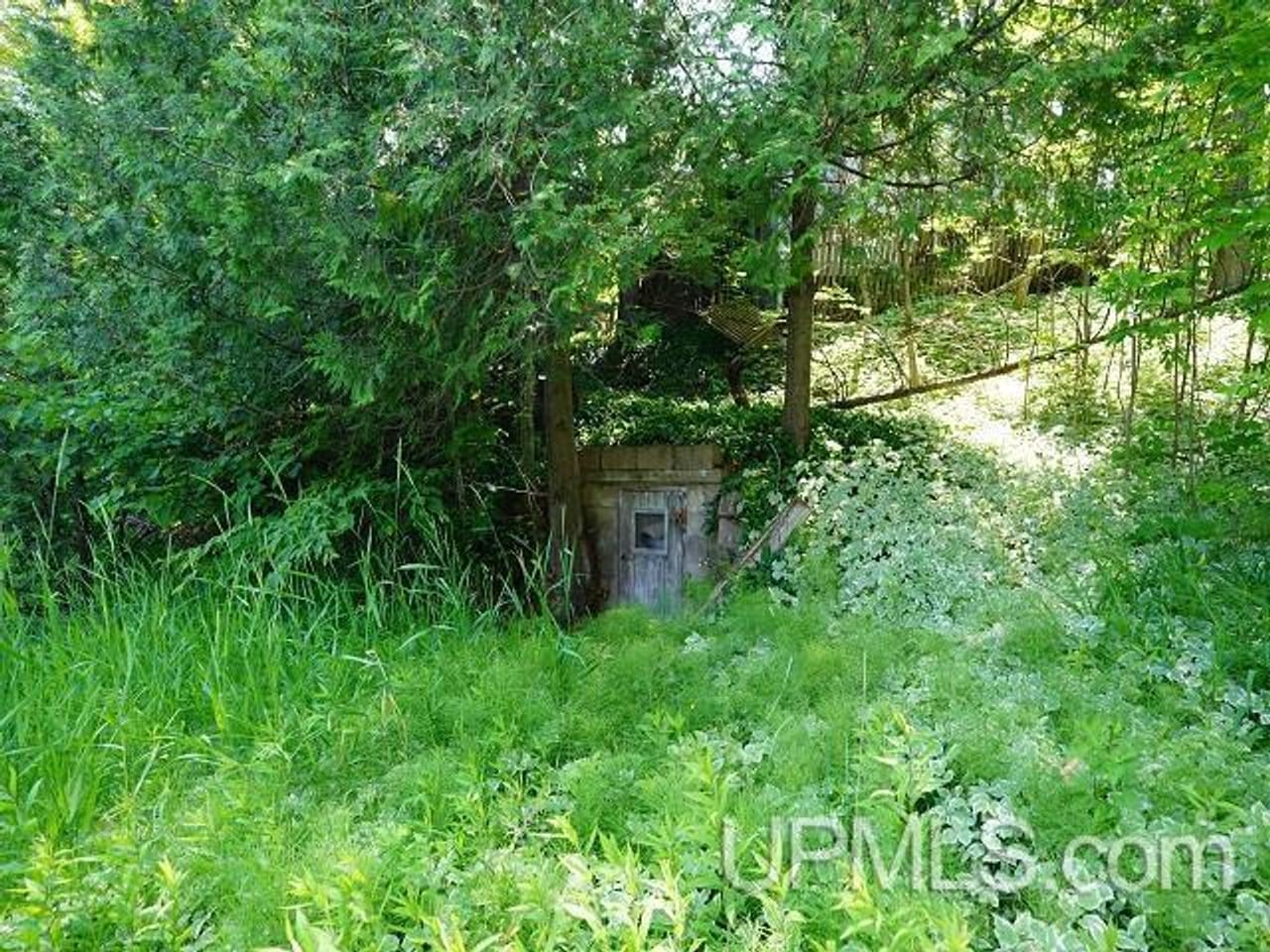 50 Acres Big Manistique Lake Prop 50114569