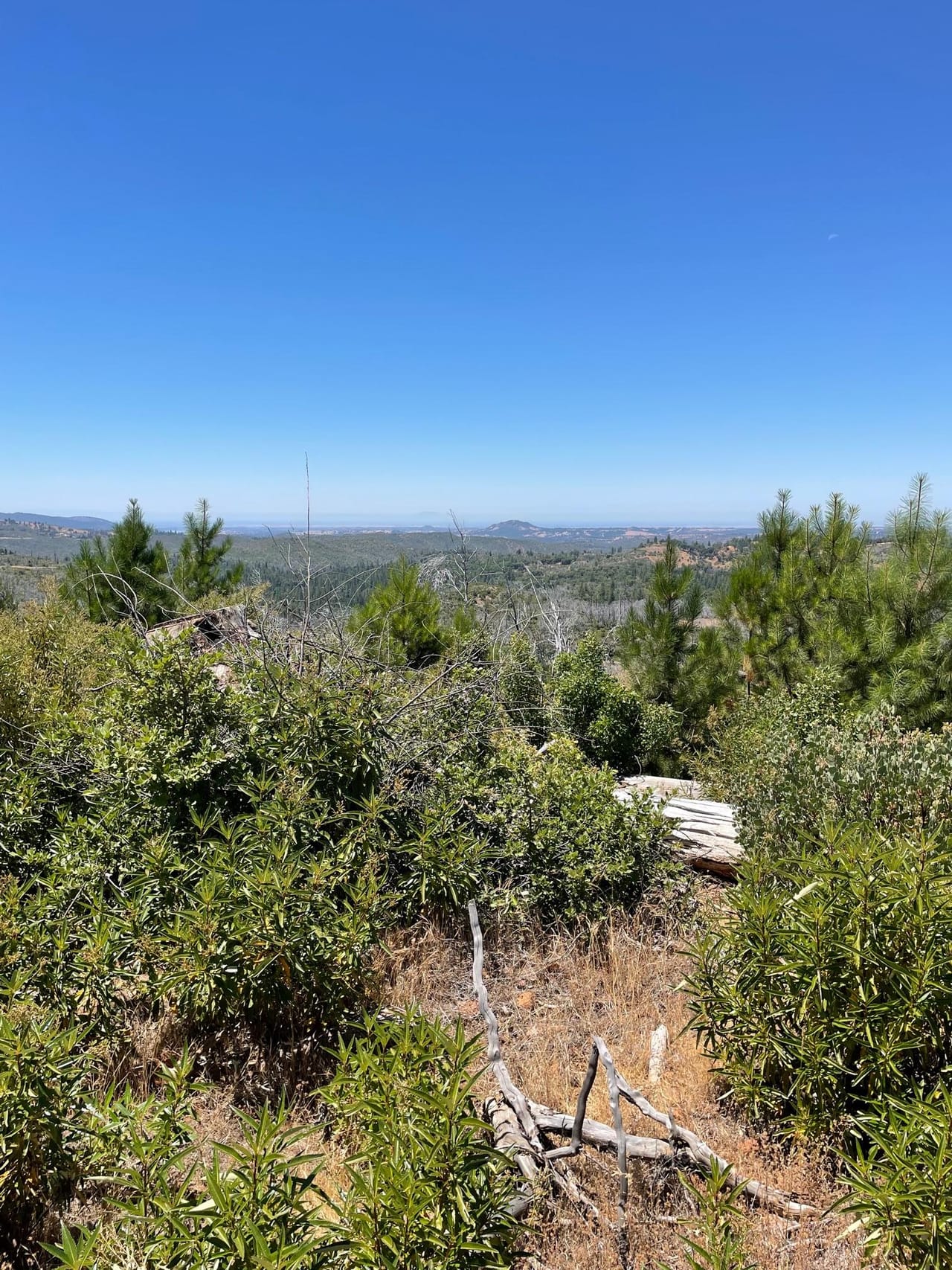 Listing Image 29