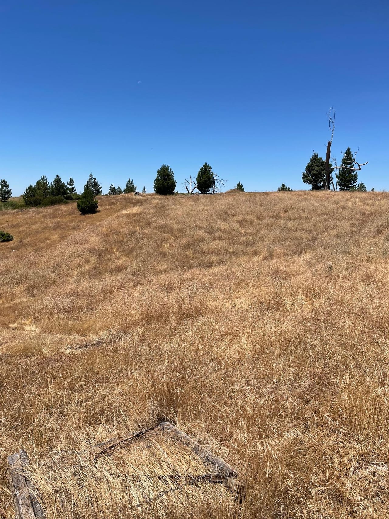 Listing Image 71