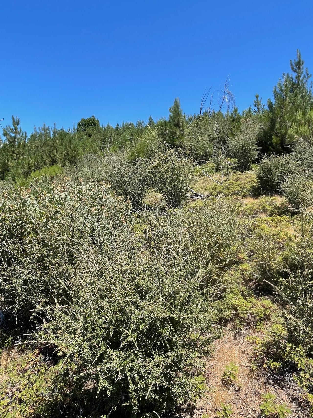 Listing Image 72