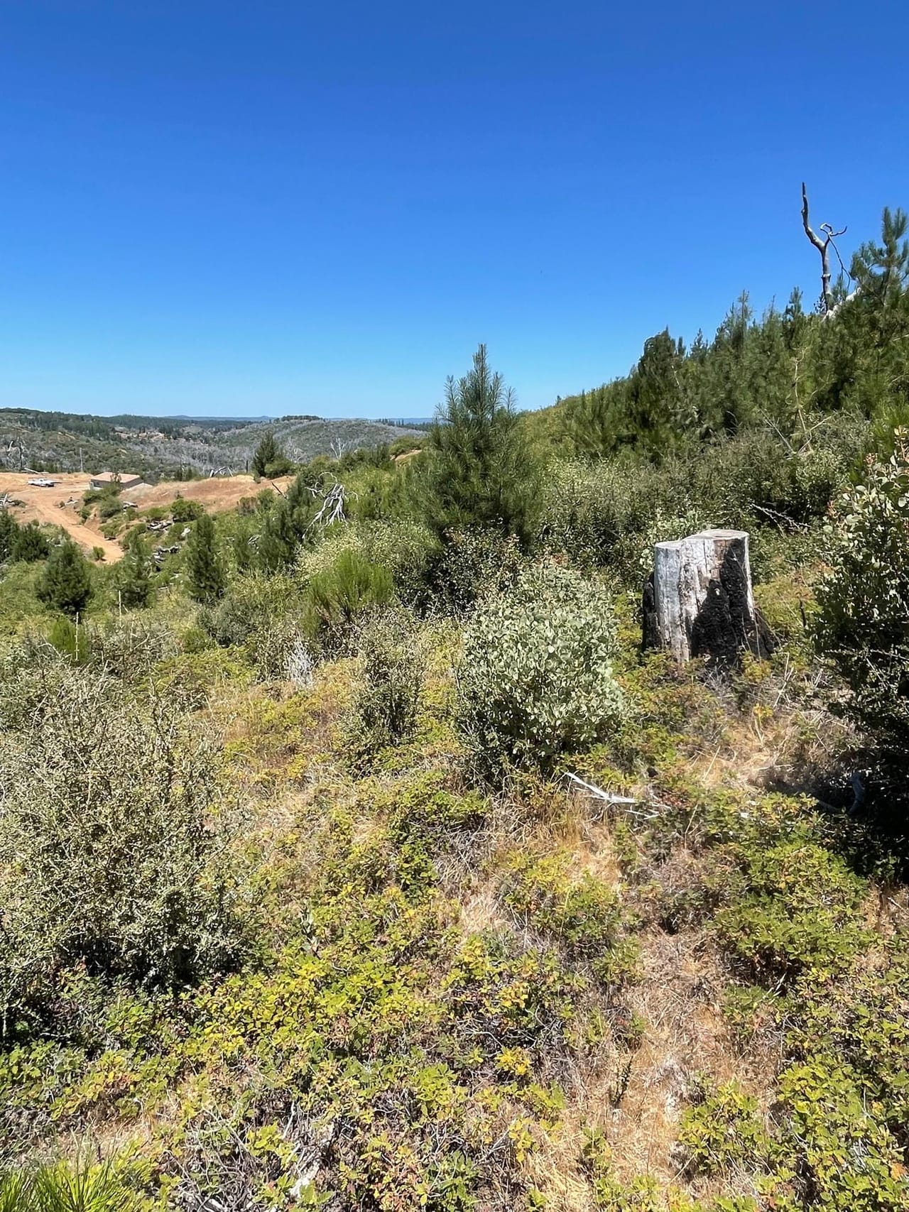Listing Image 73