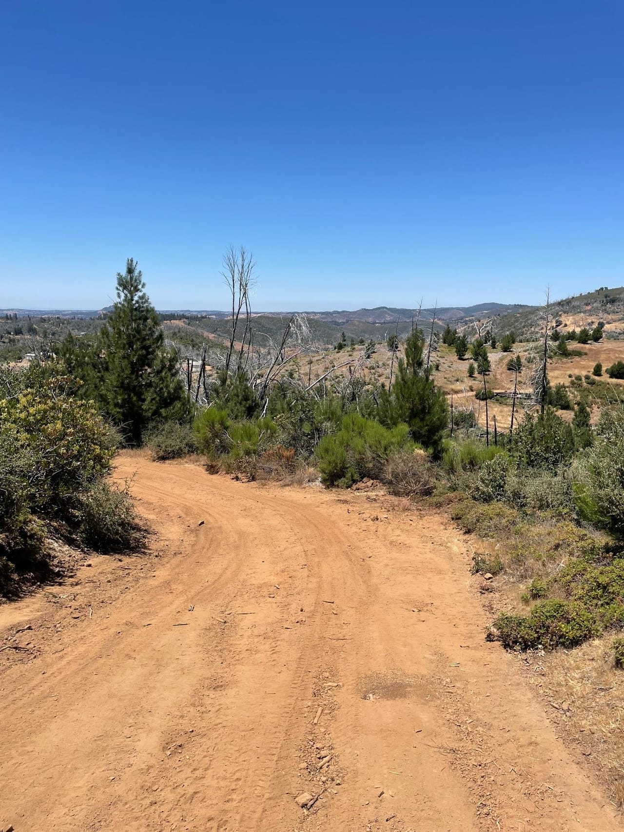 Listing Image 75