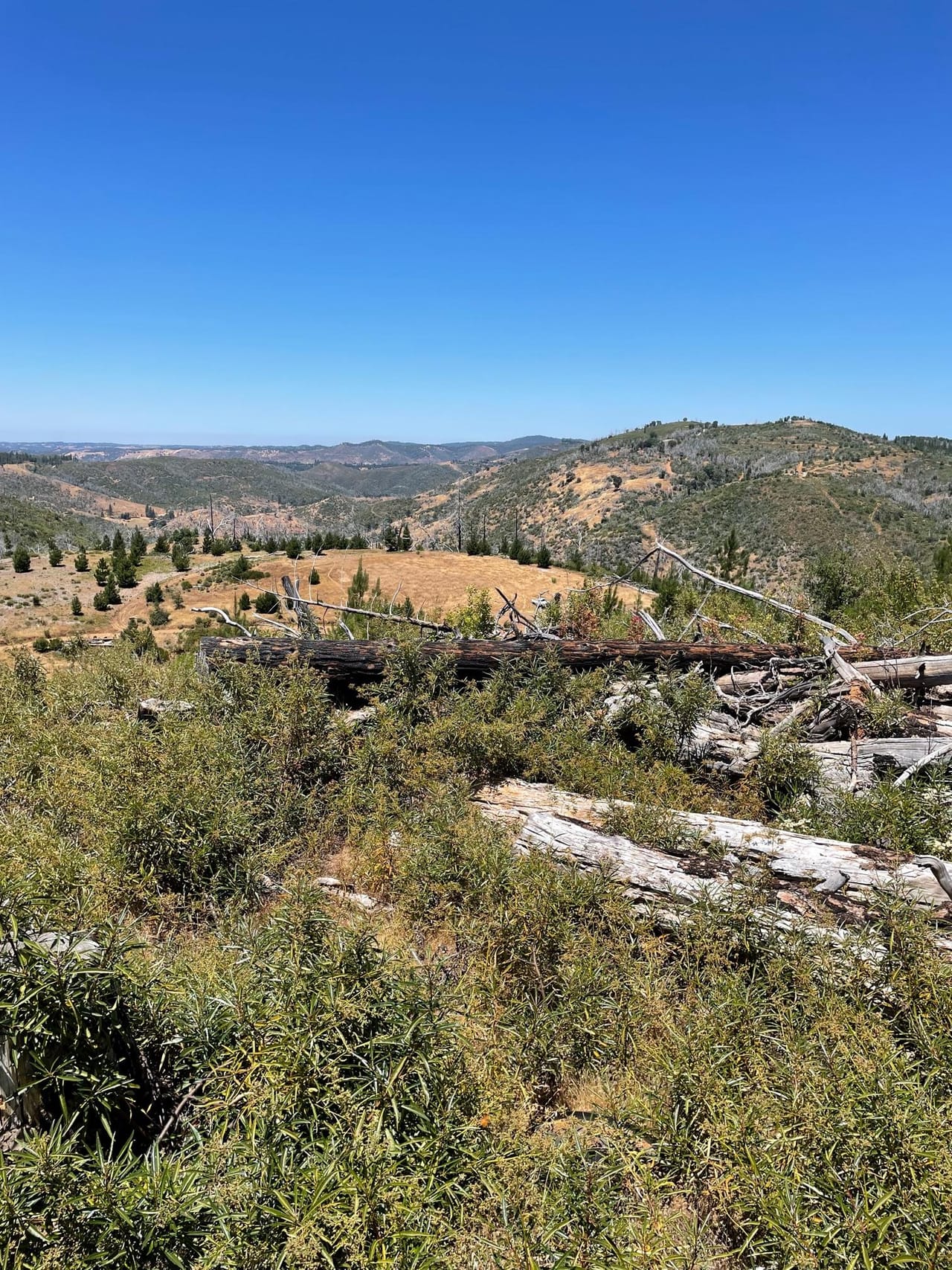 Listing Image 76