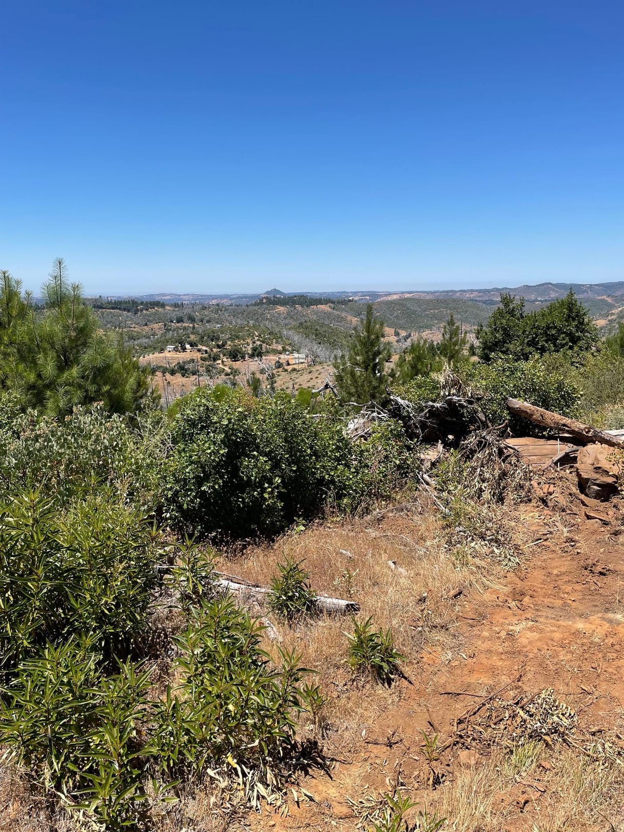 Listing Image 77