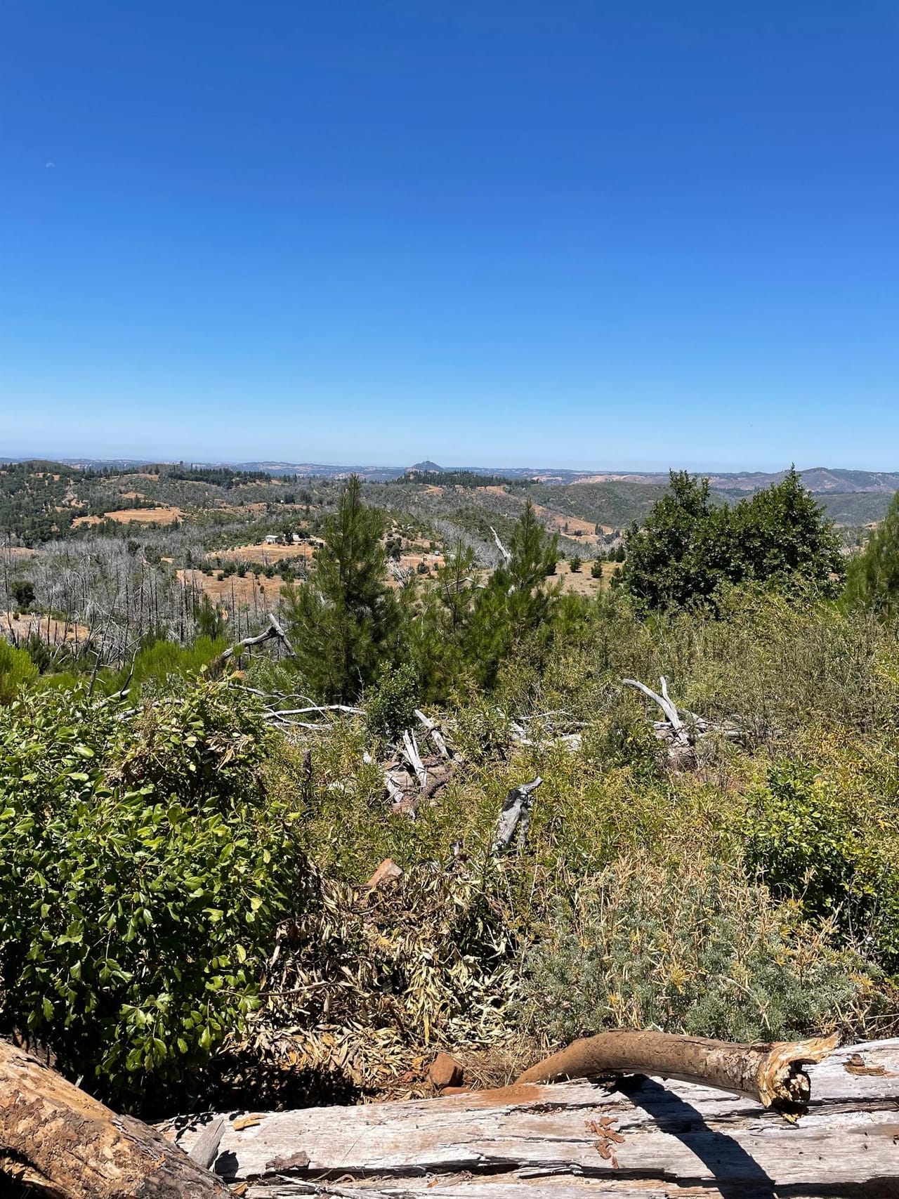 Listing Image 41