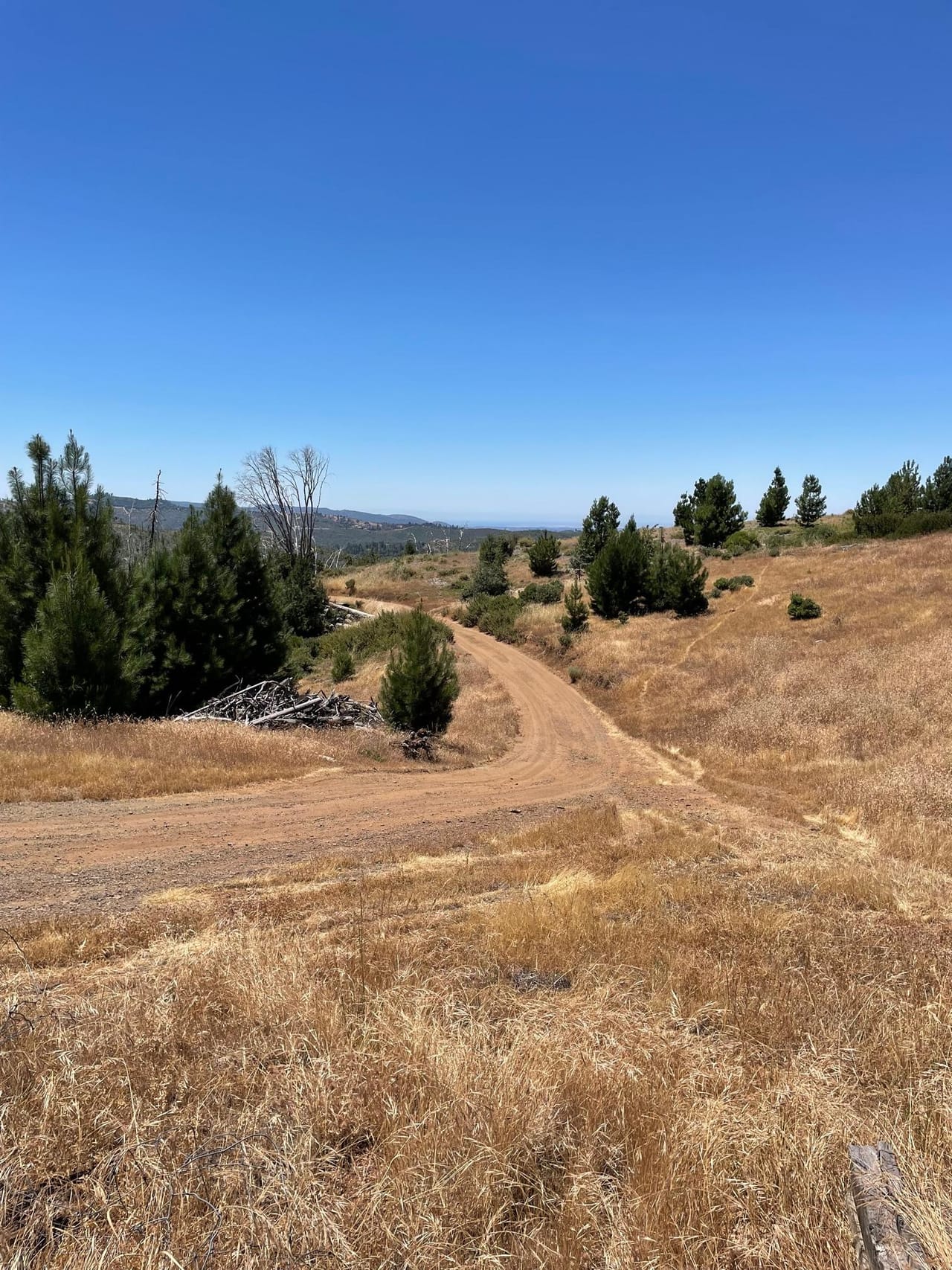 Listing Image 42