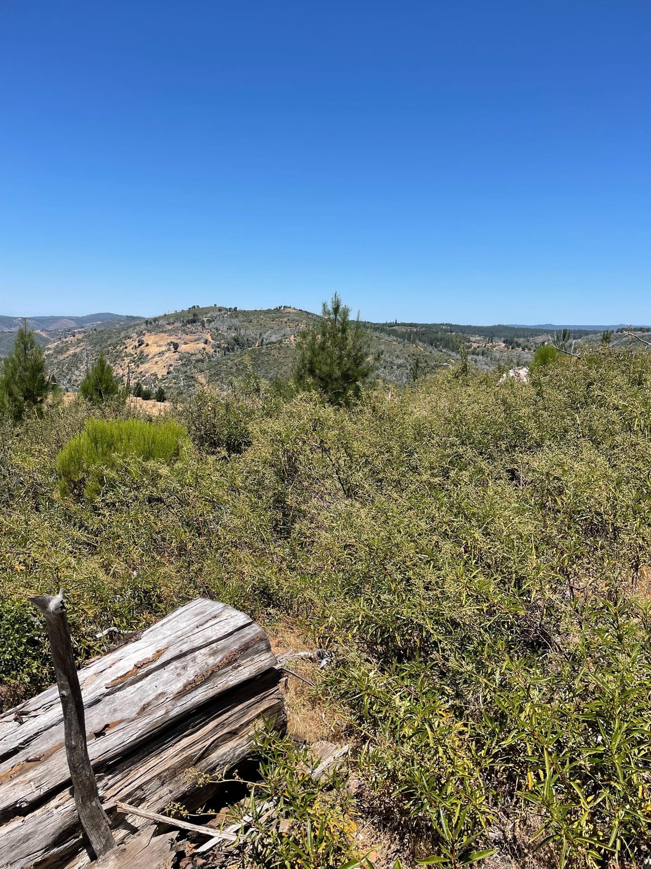 Listing Image 43