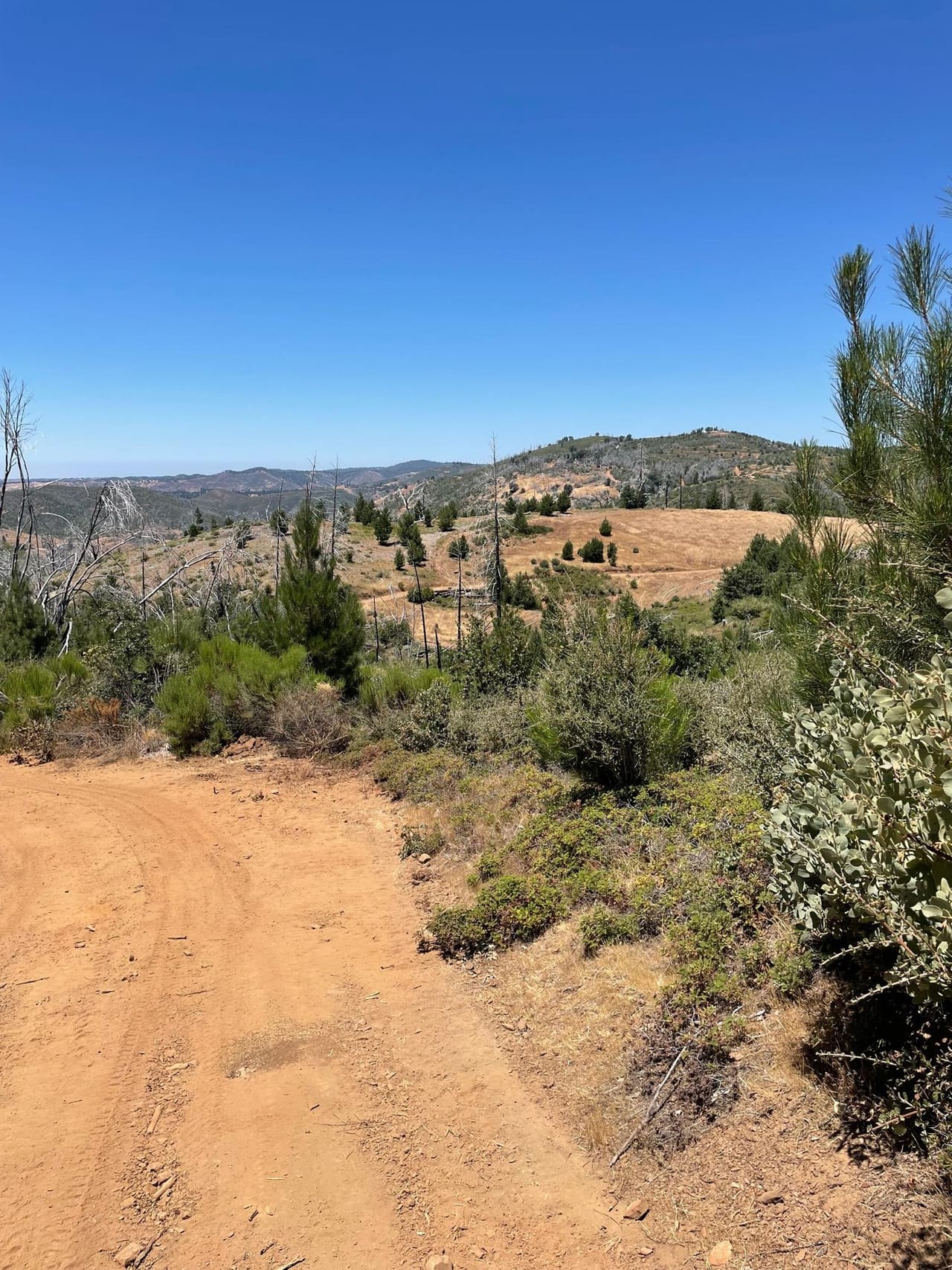 Listing Image 48