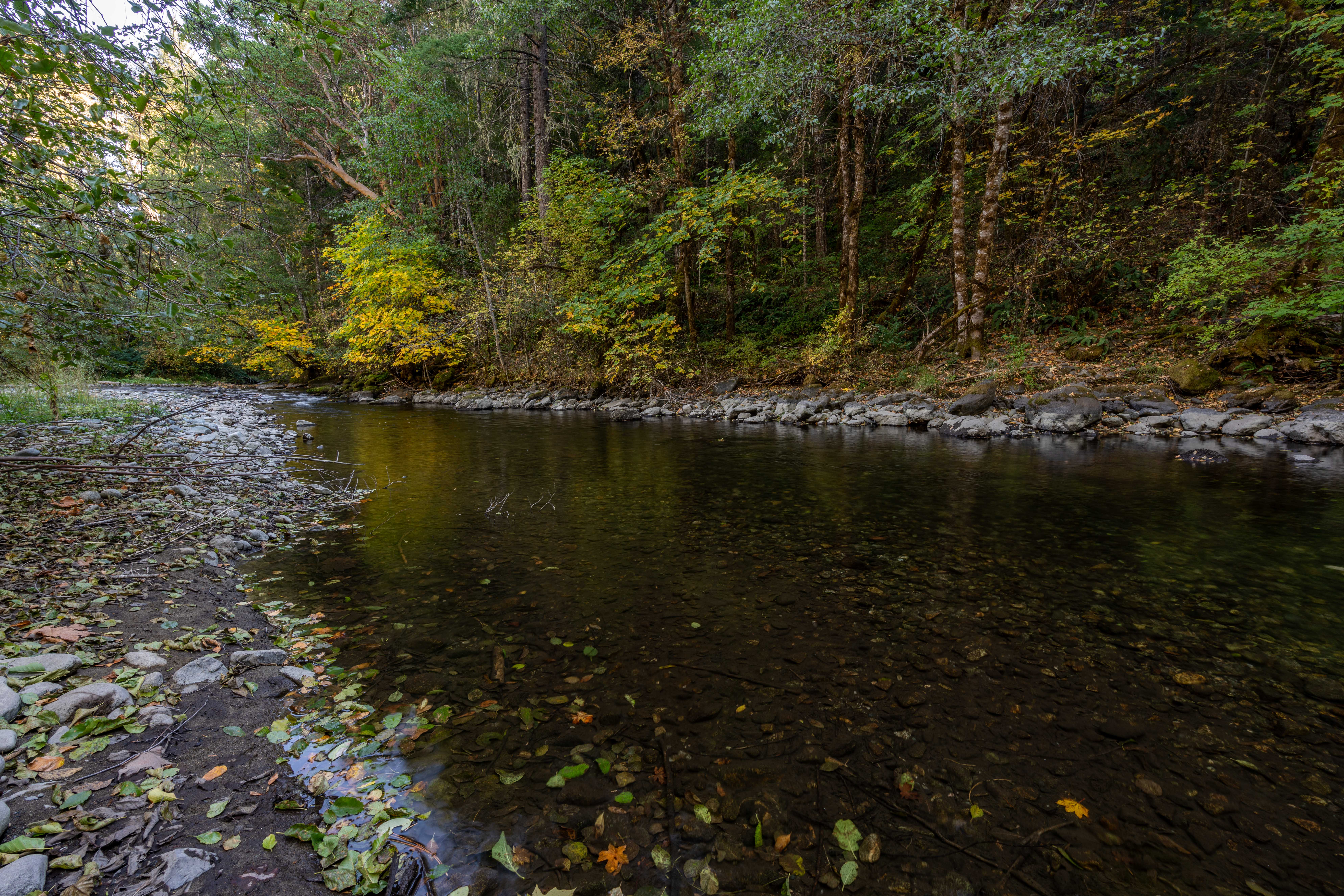 Listing Image 65