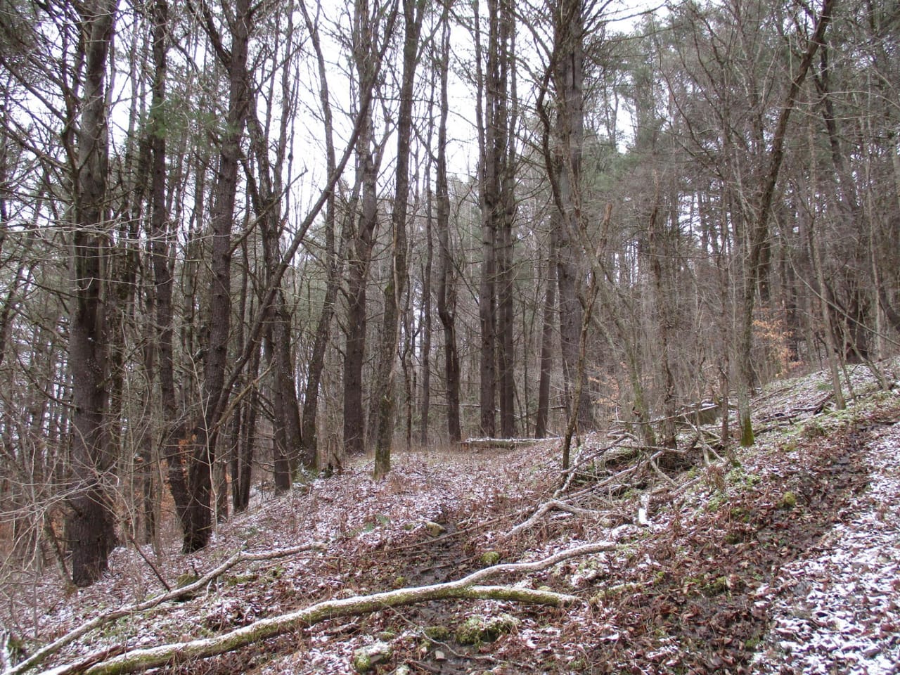 Stone Dam Hunting Camp