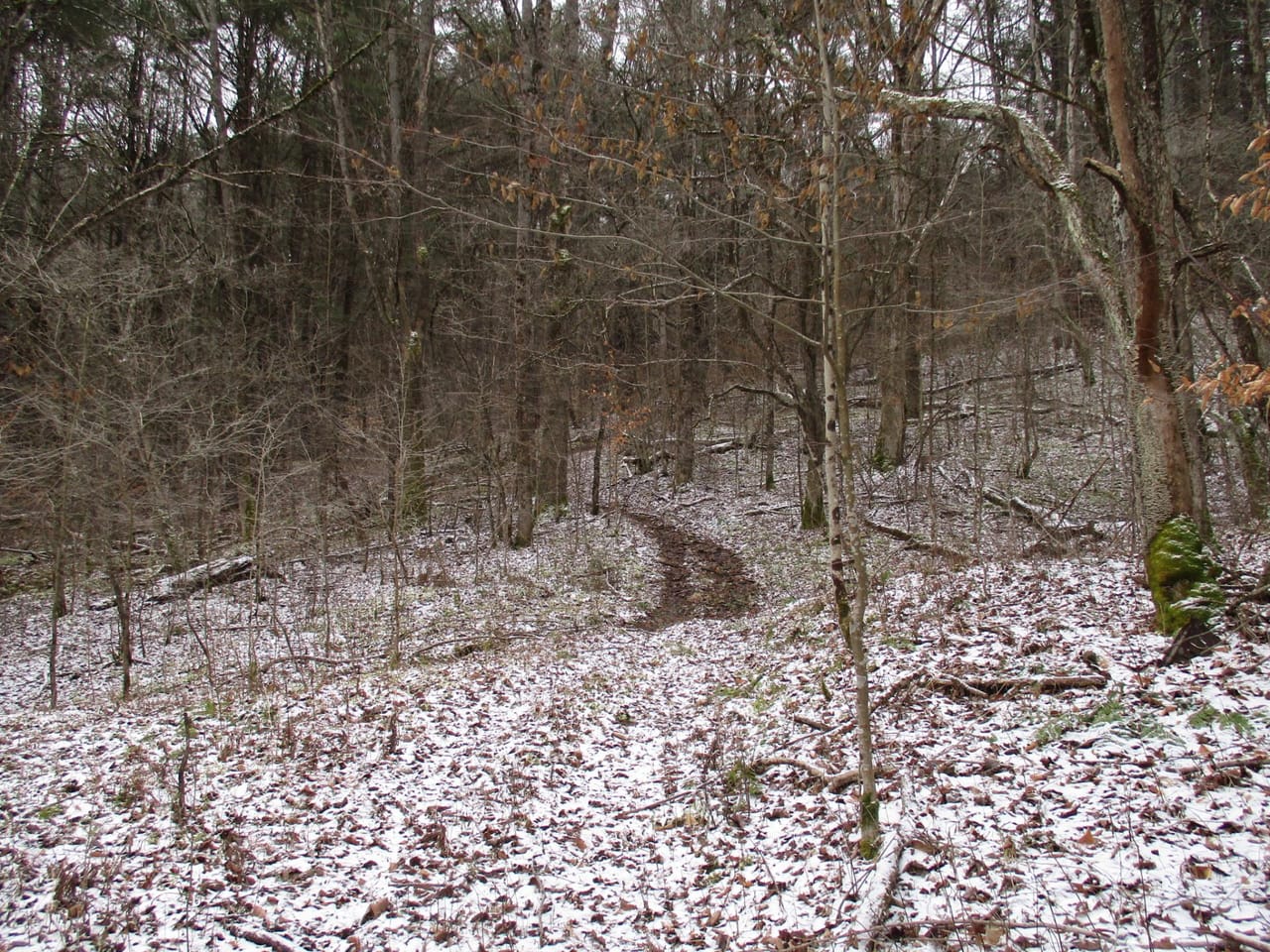 Stone Dam Hunting Camp