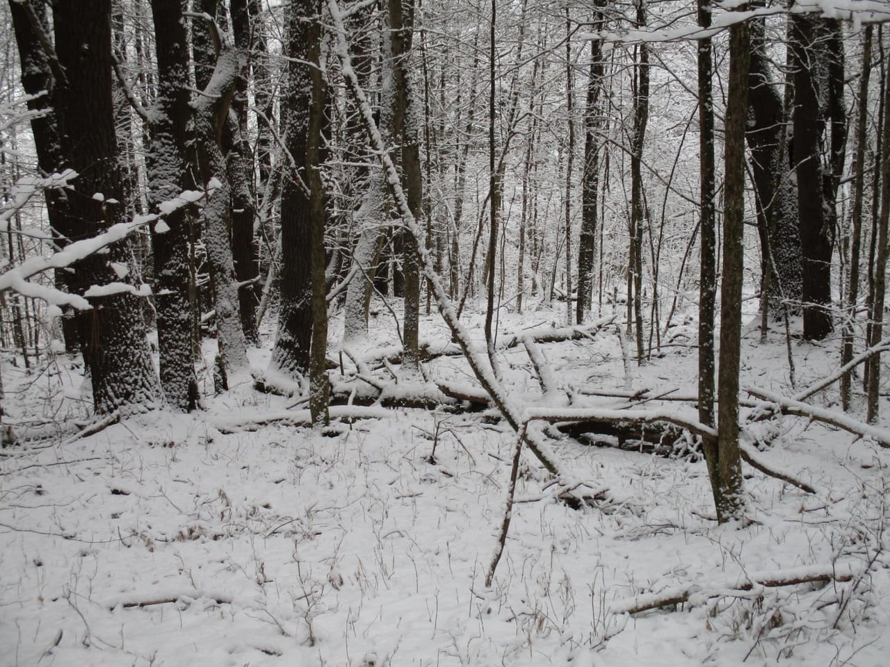 Stone Dam Hunting Camp