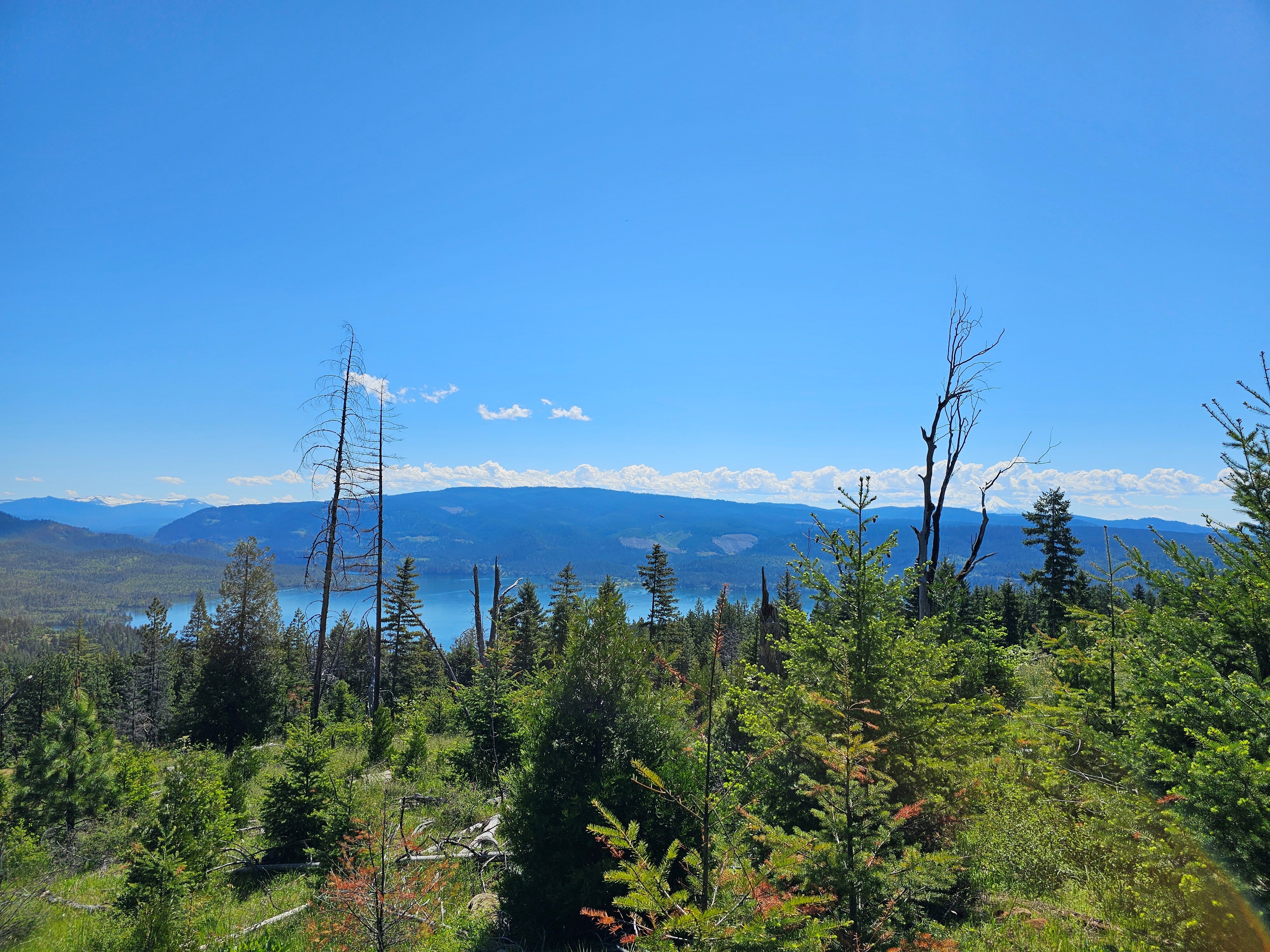 Elk Creek Road TL 3200