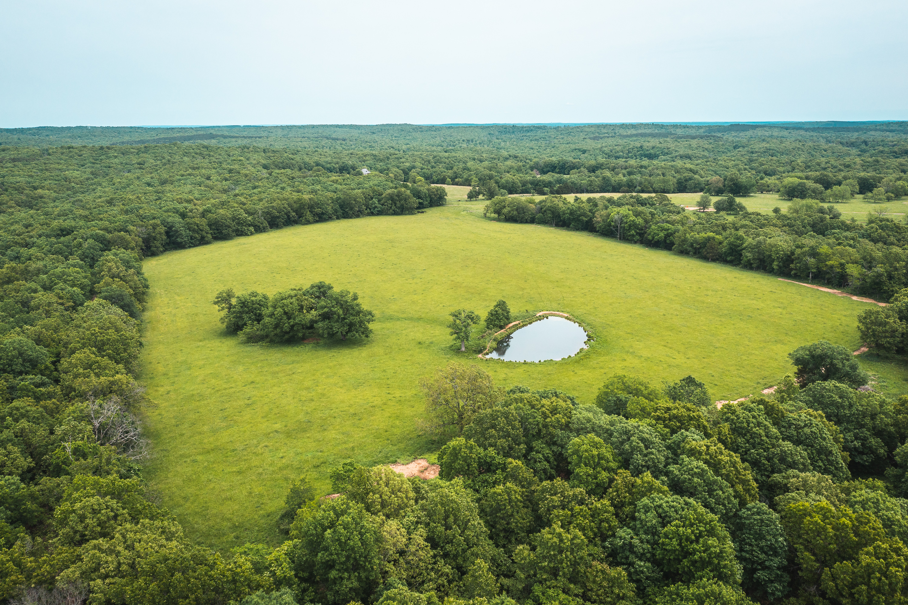 Gasconade Angus Ranch