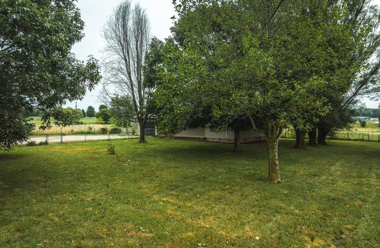 Listing Image 13
