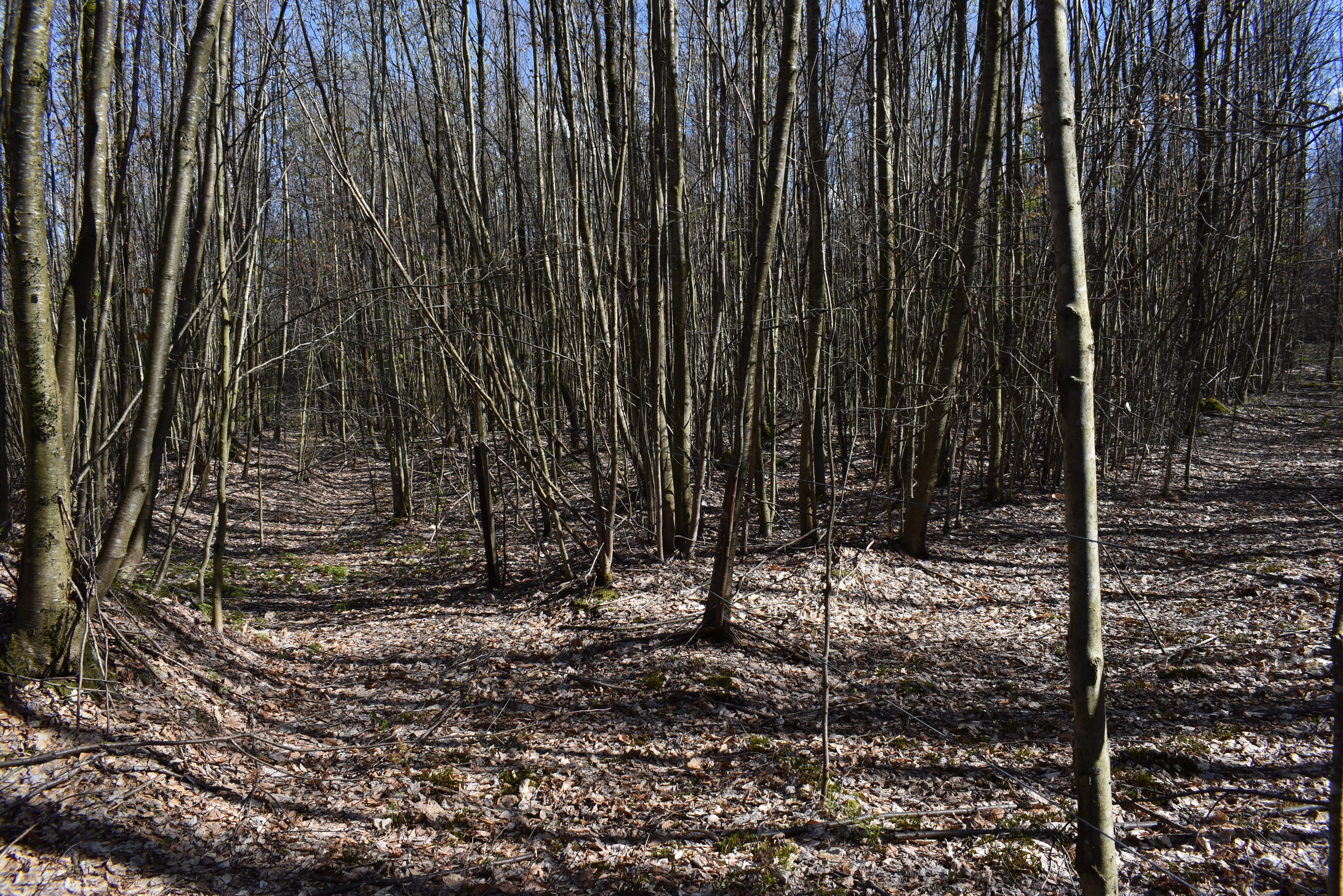 Listing Image 15