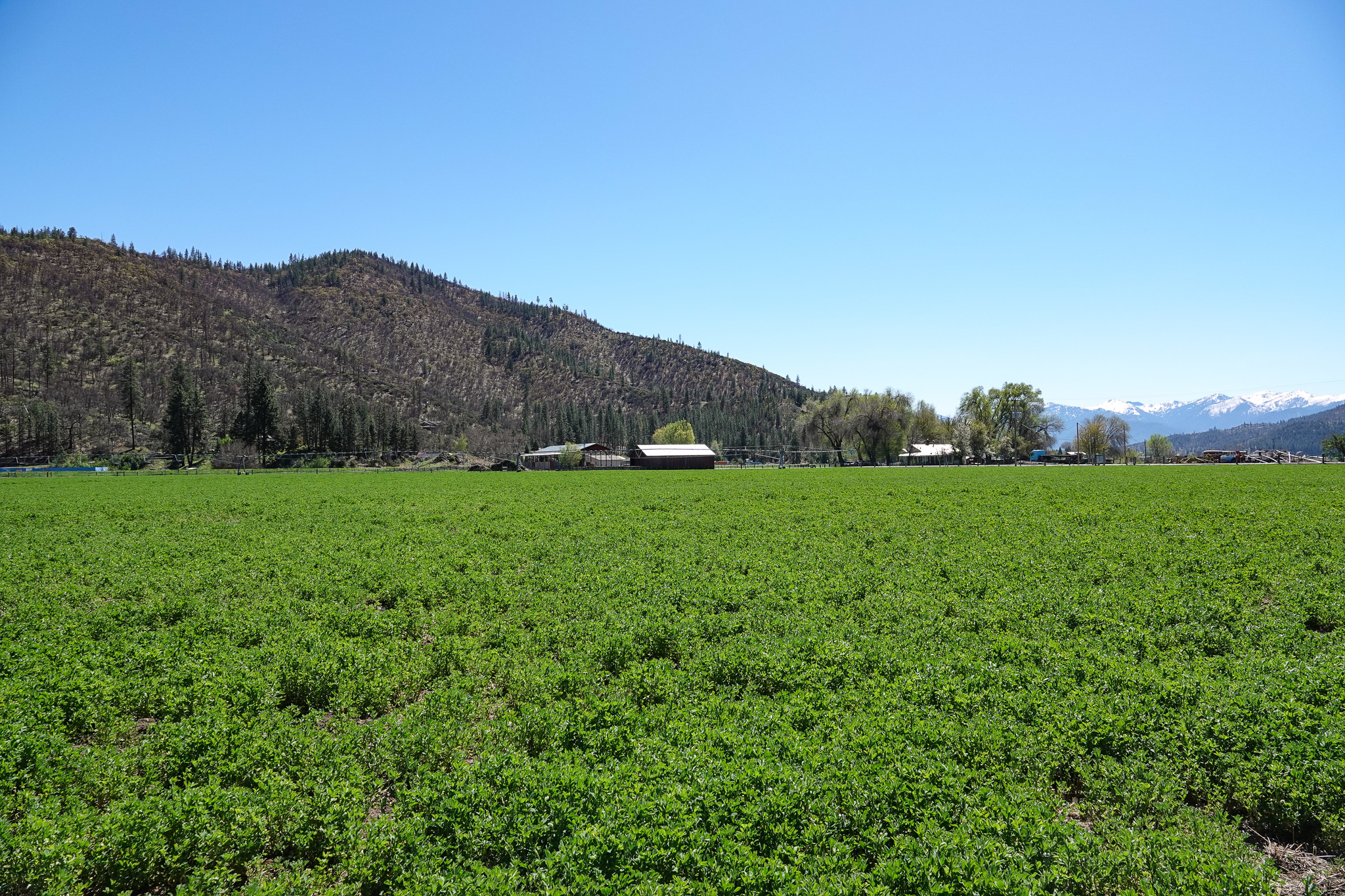 Kraus and Sons Ranch