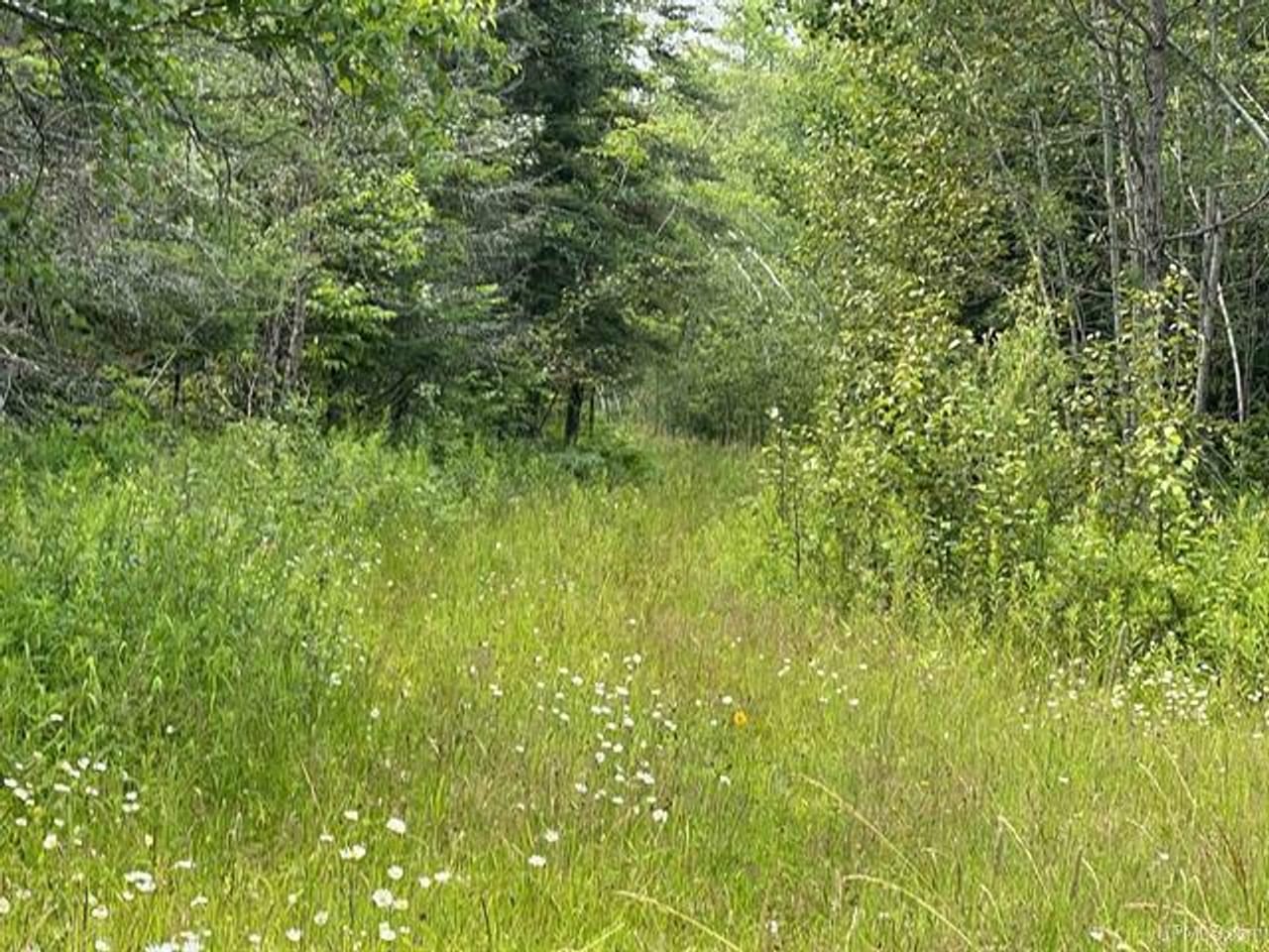200 +/- Acre Prime Recreation 50116640