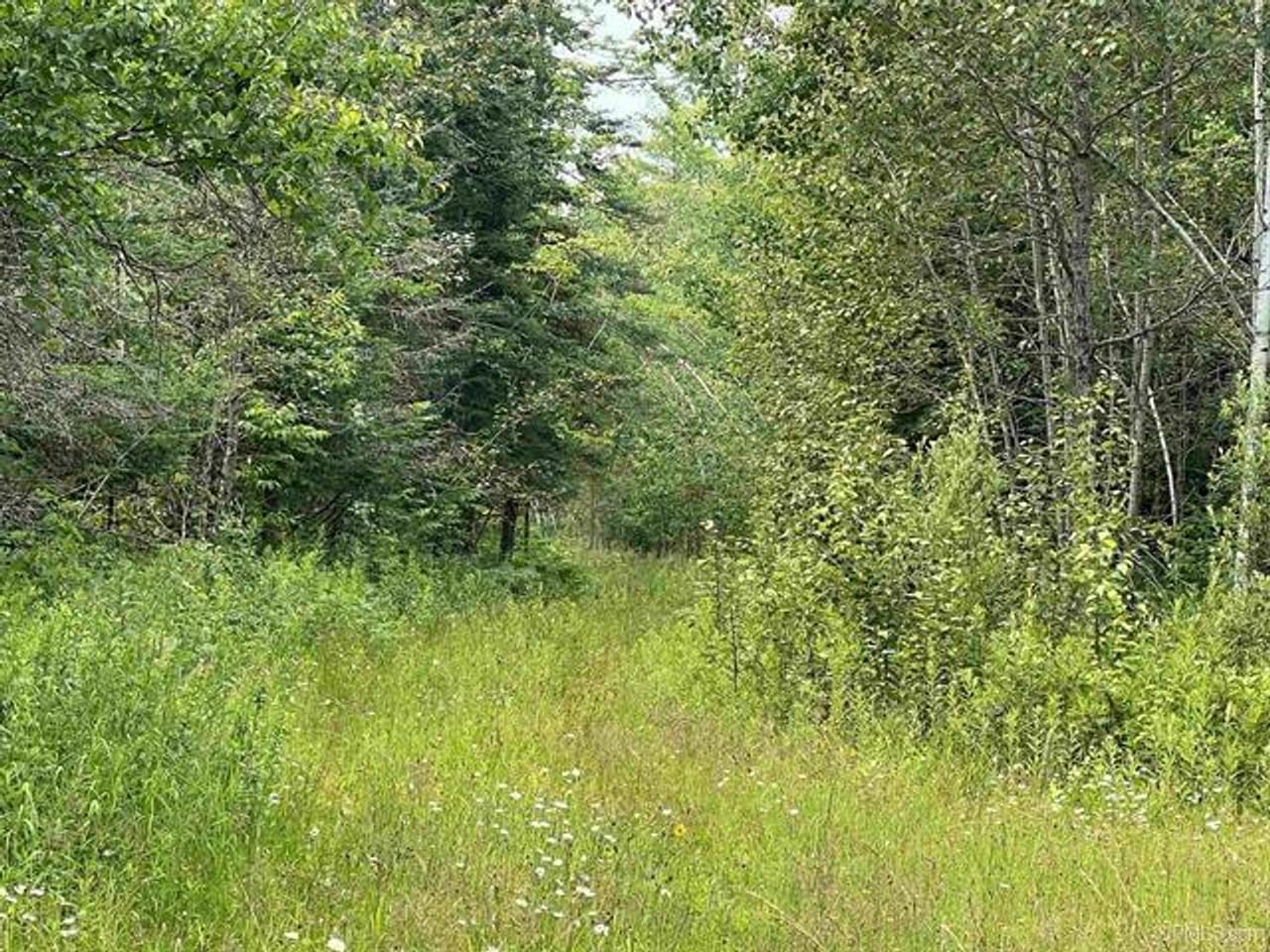 200 +/- Acre Prime Recreation 50116640