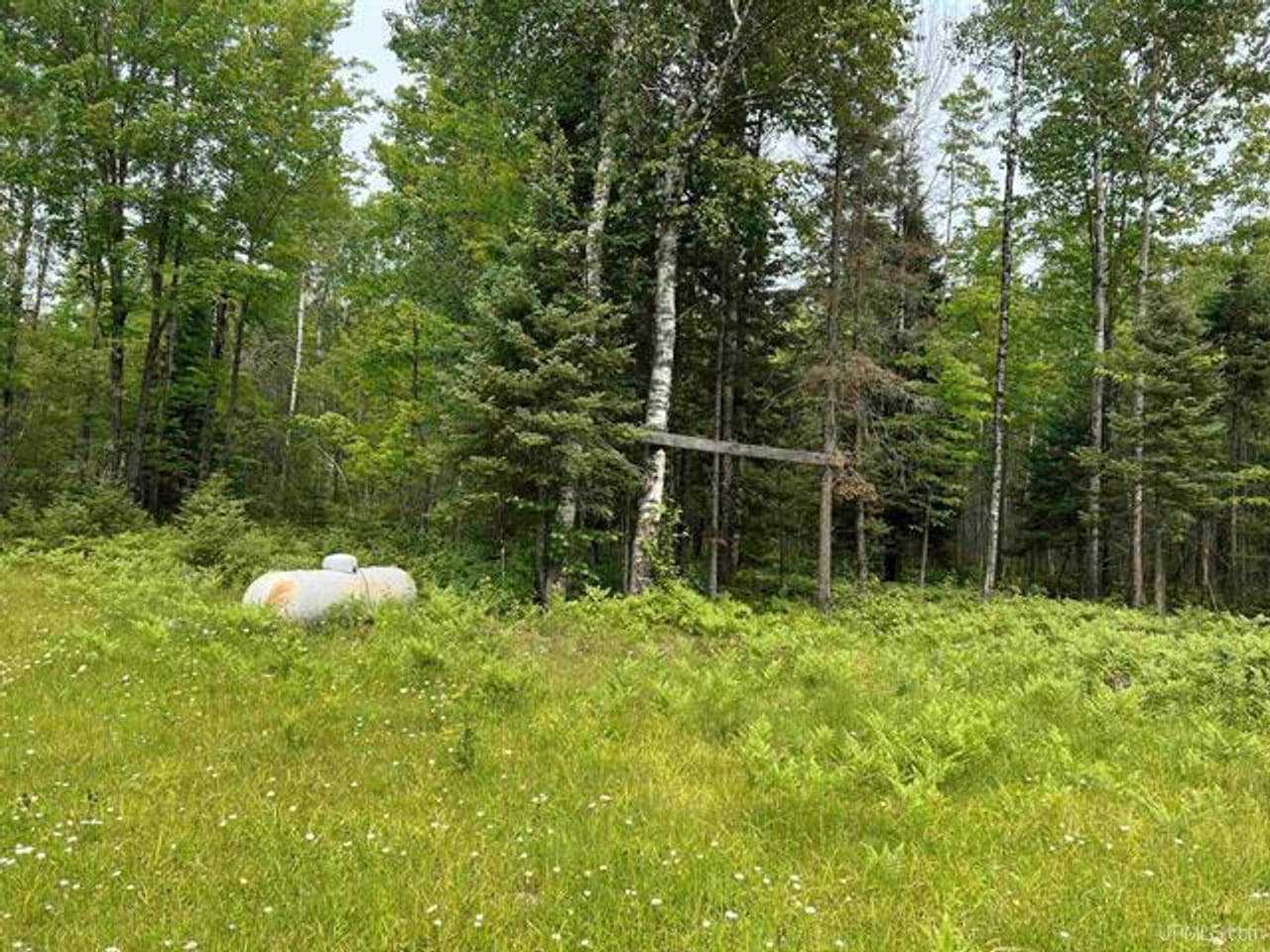 200 +/- Acre Prime Recreation 50116640