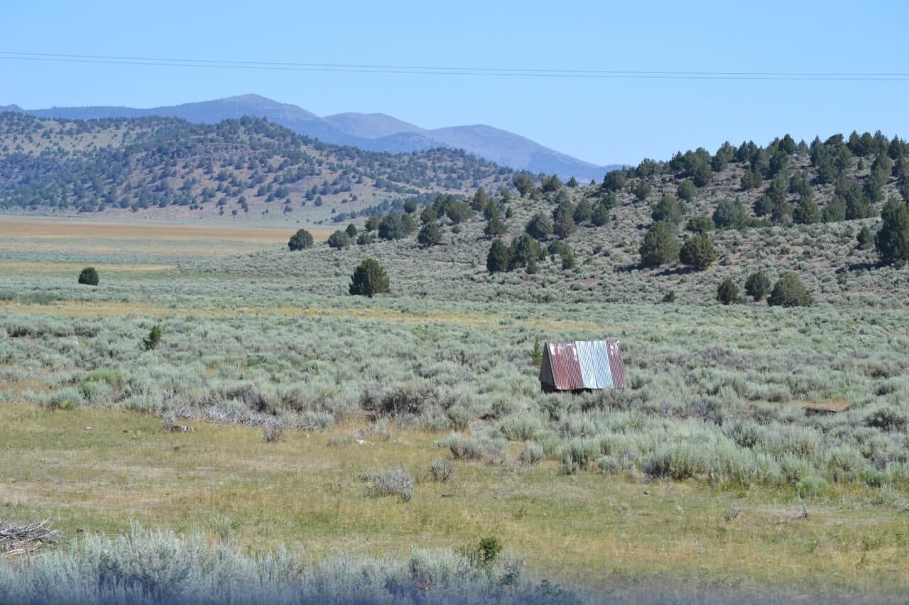 Listing Image 31