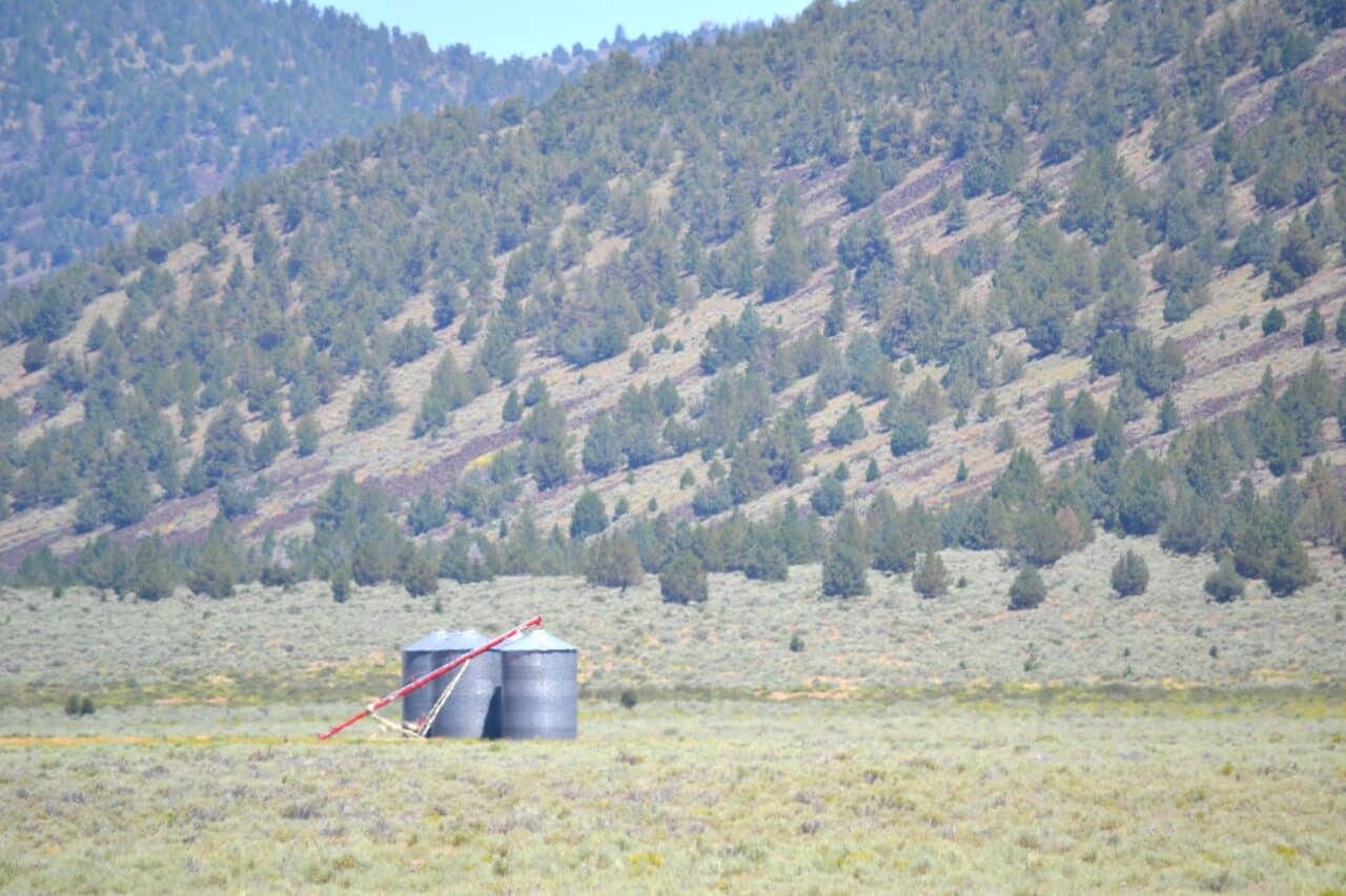 Listing Image 8