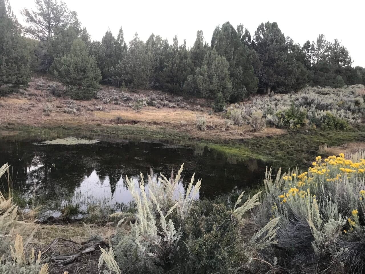 Listing Image 13
