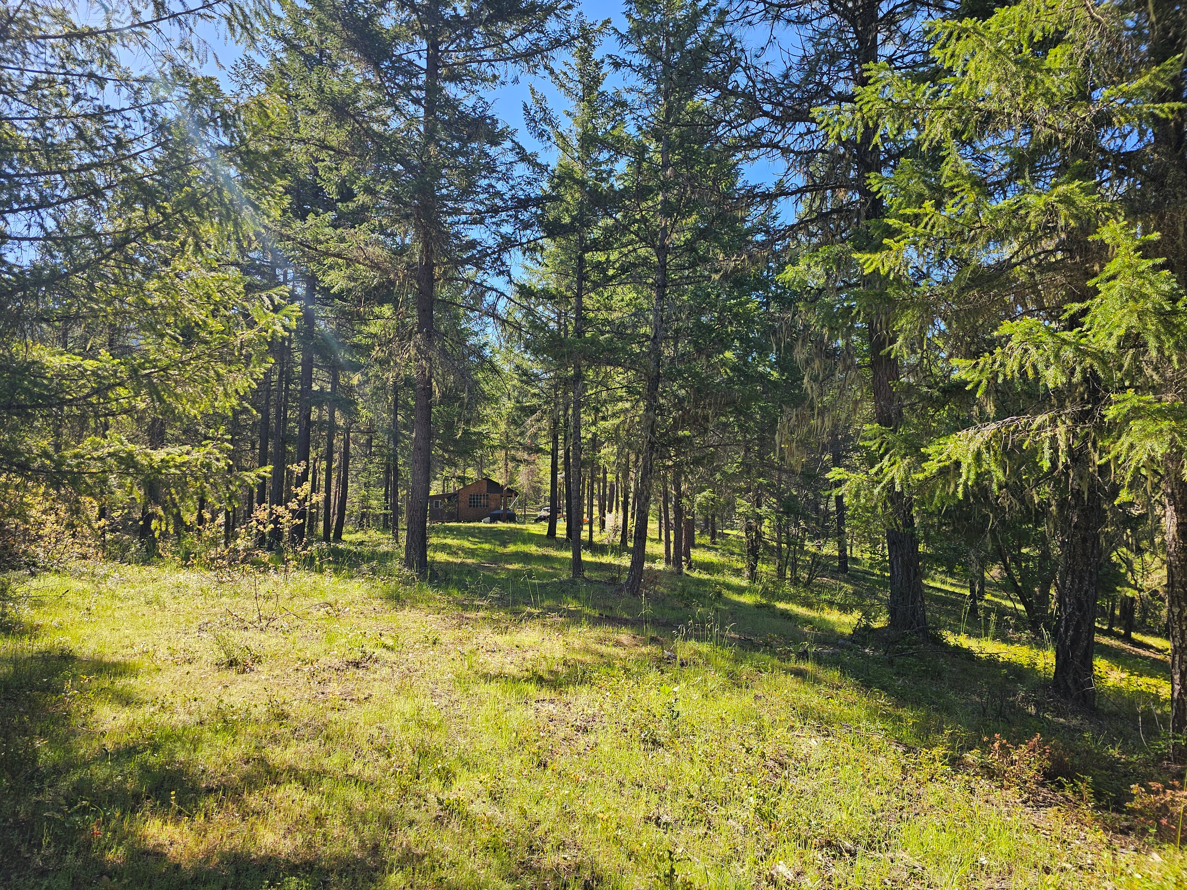 Elk Creek Road TL 2205