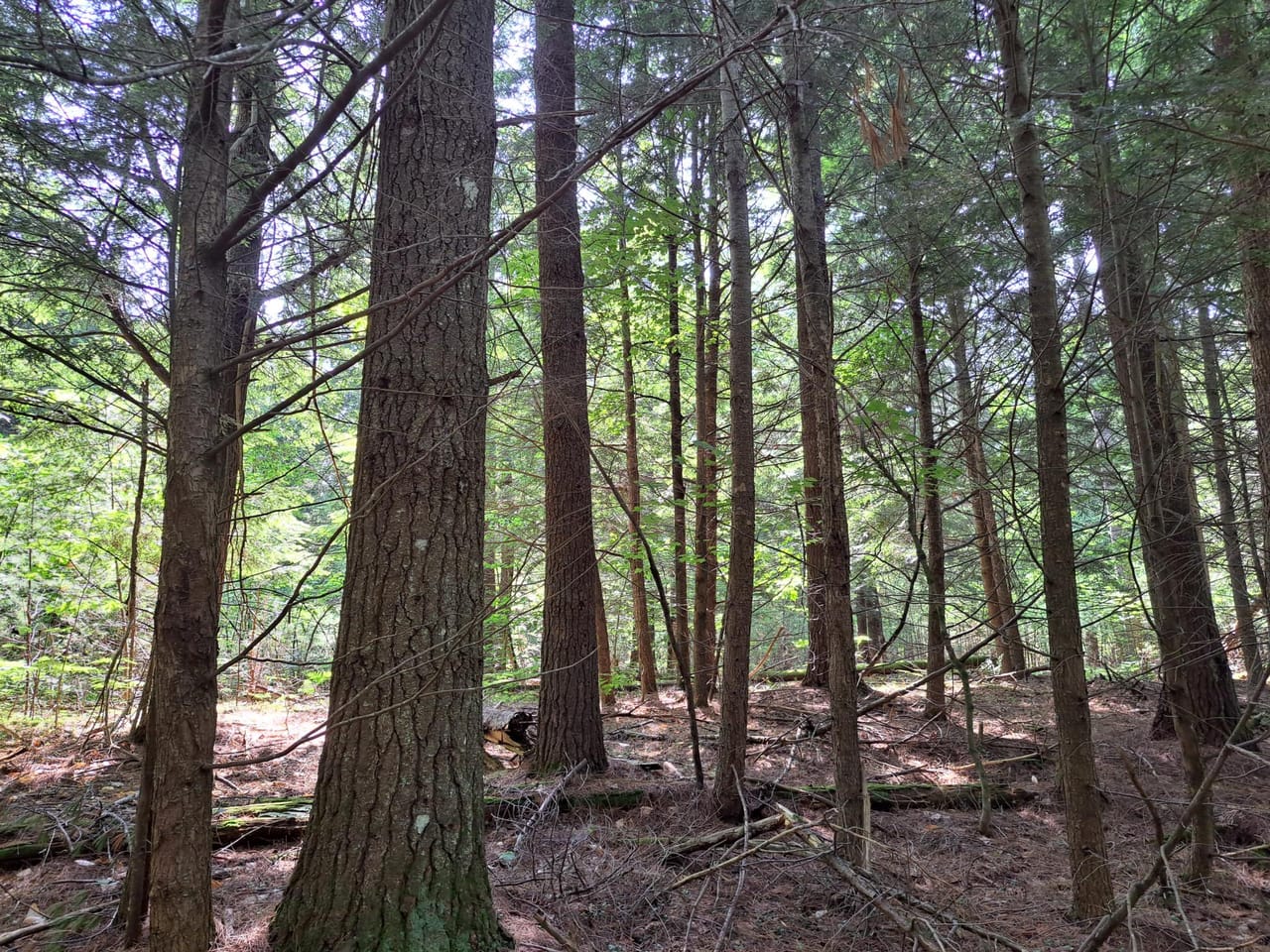 Listing Image 38