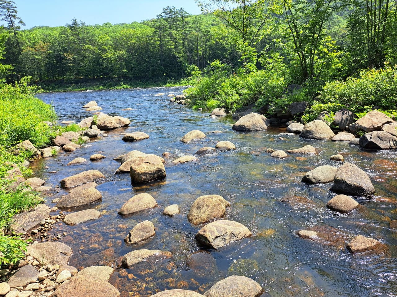 Listing Image 61