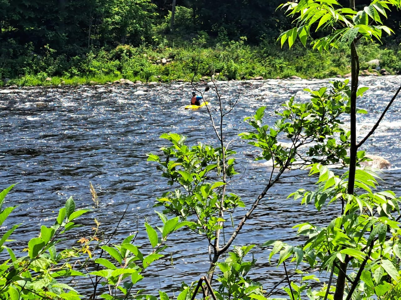 Listing Image 76