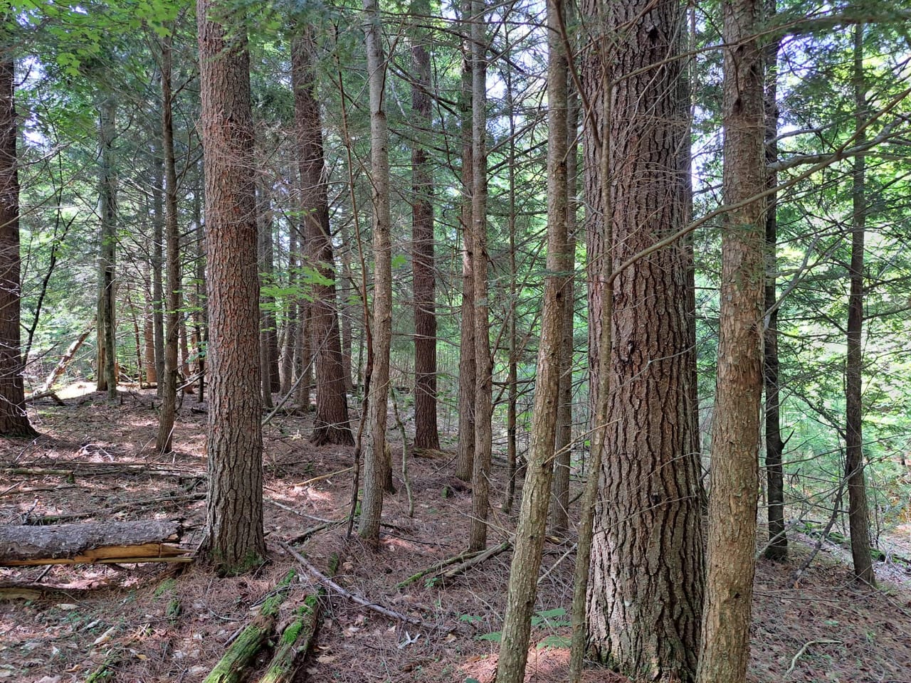 Listing Image 8
