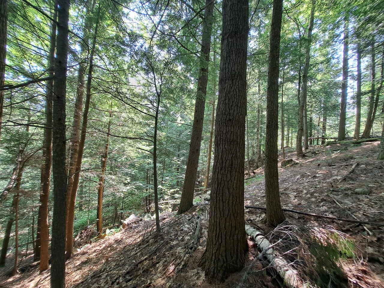 Listing Image 21