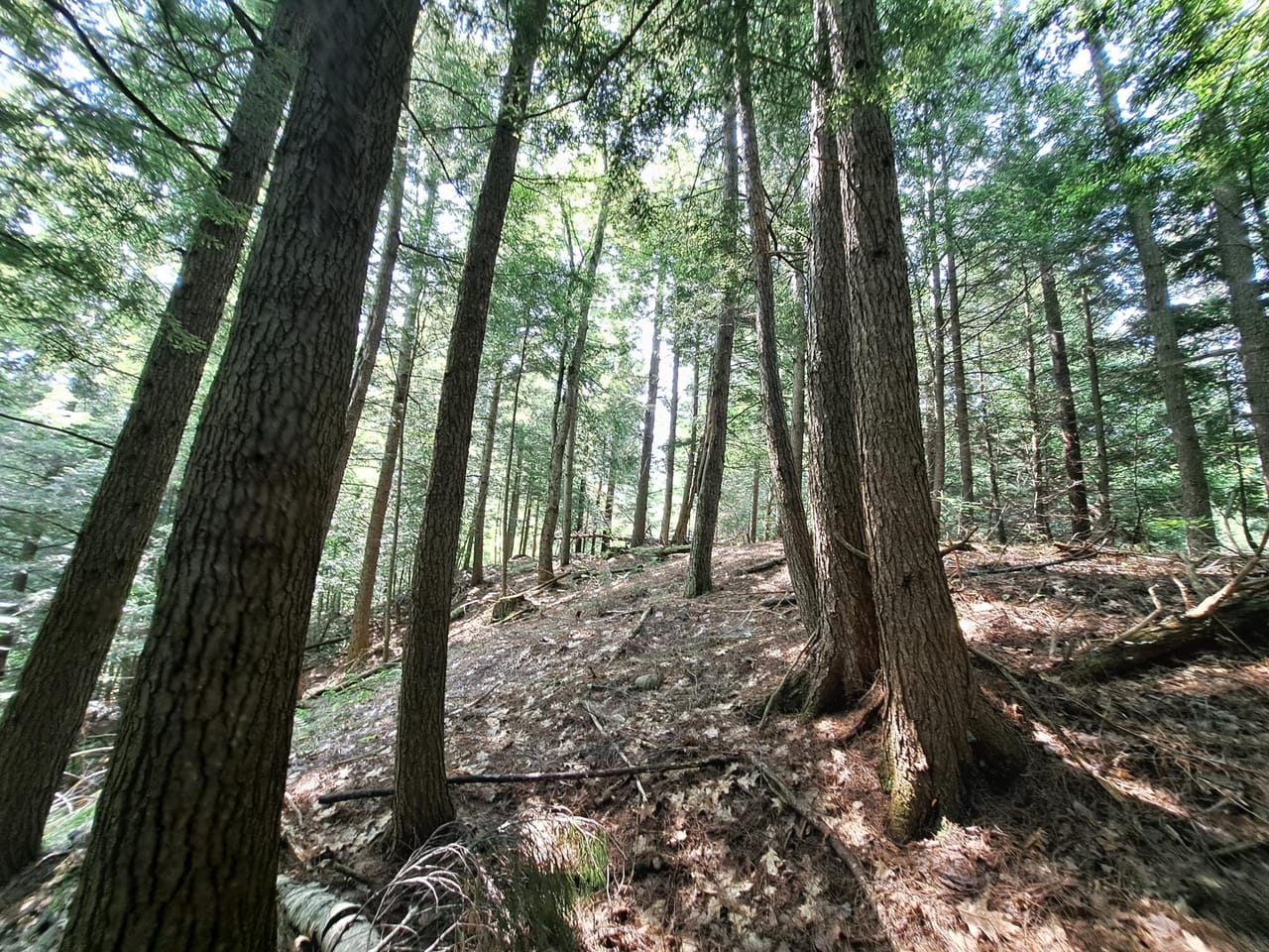 Listing Image 47