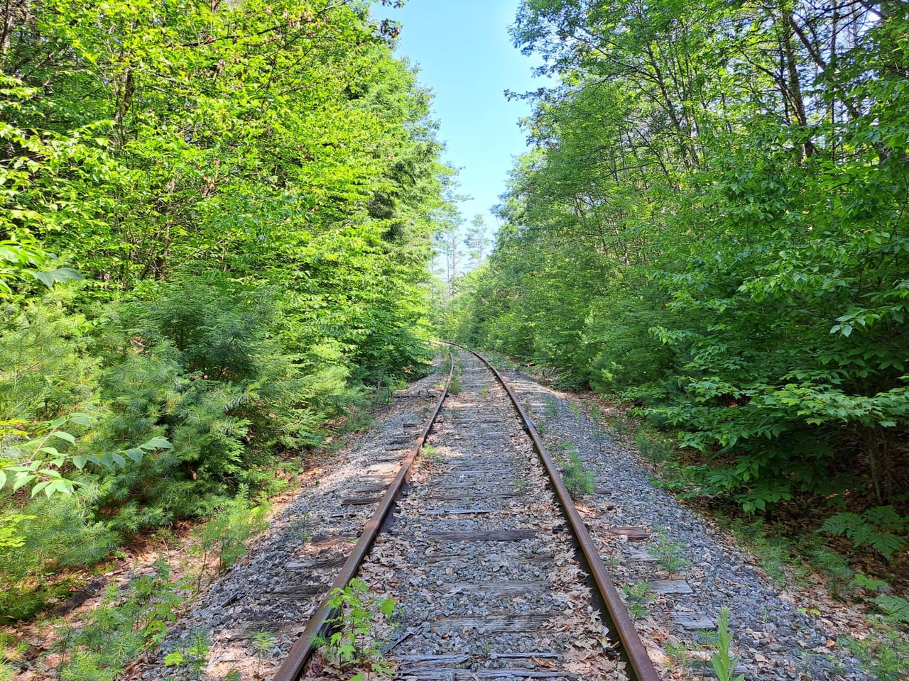 Listing Image 63