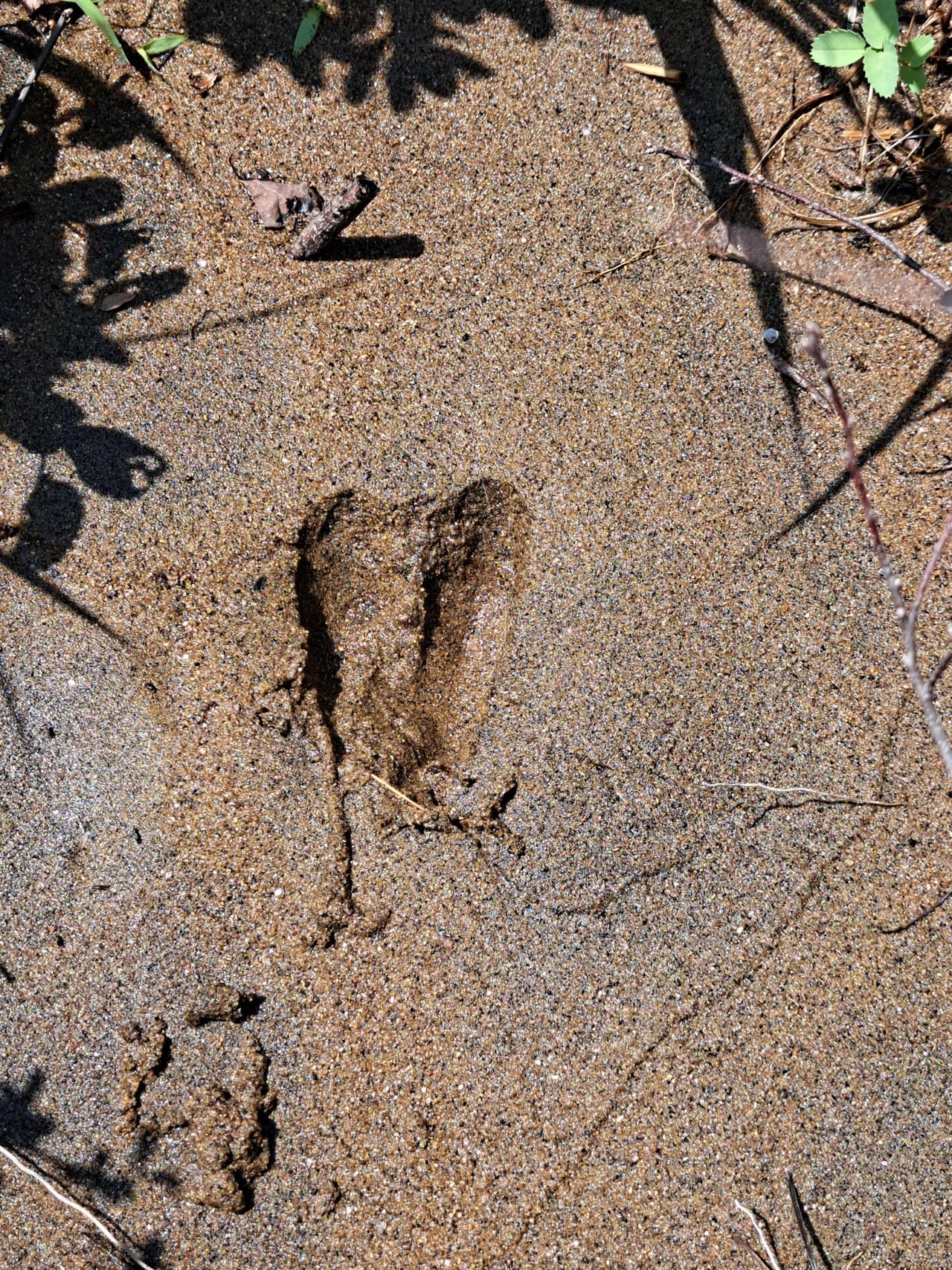 Listing Image 65
