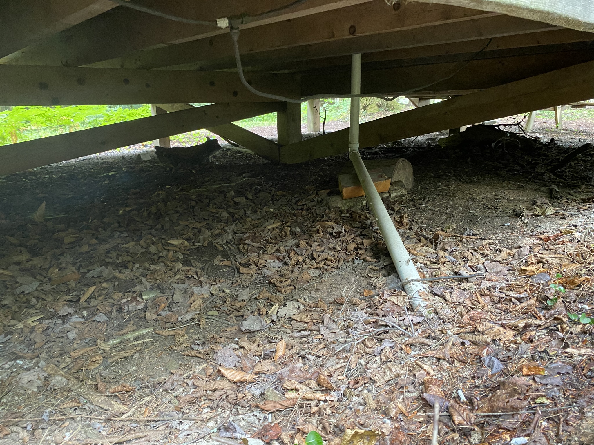 Cabin on the Little River