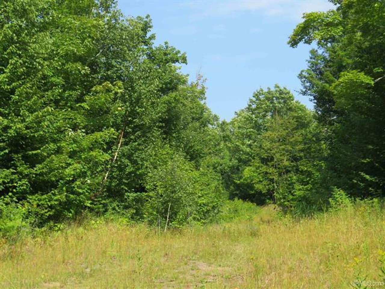 Listing Image 42