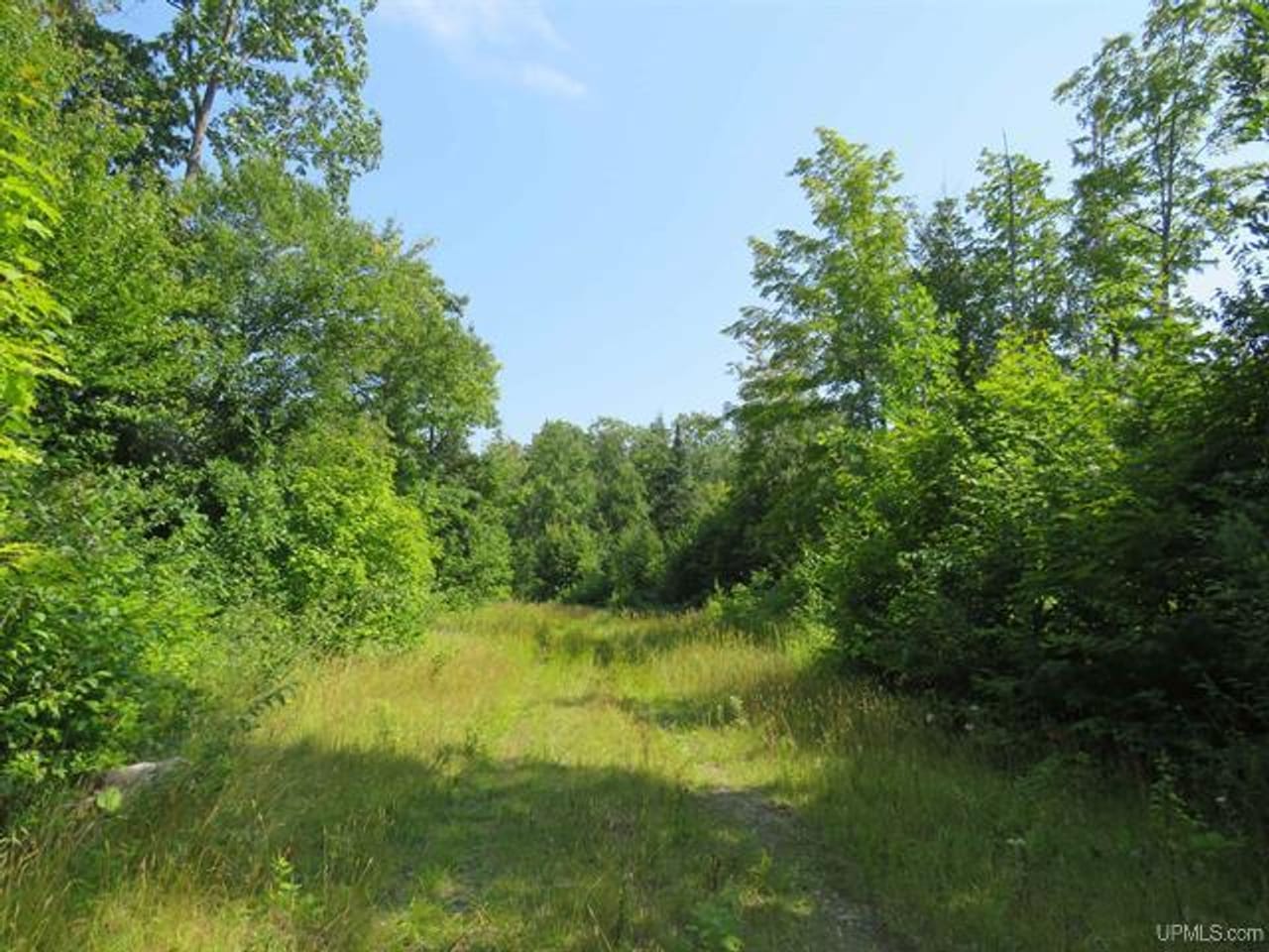 Listing Image 73