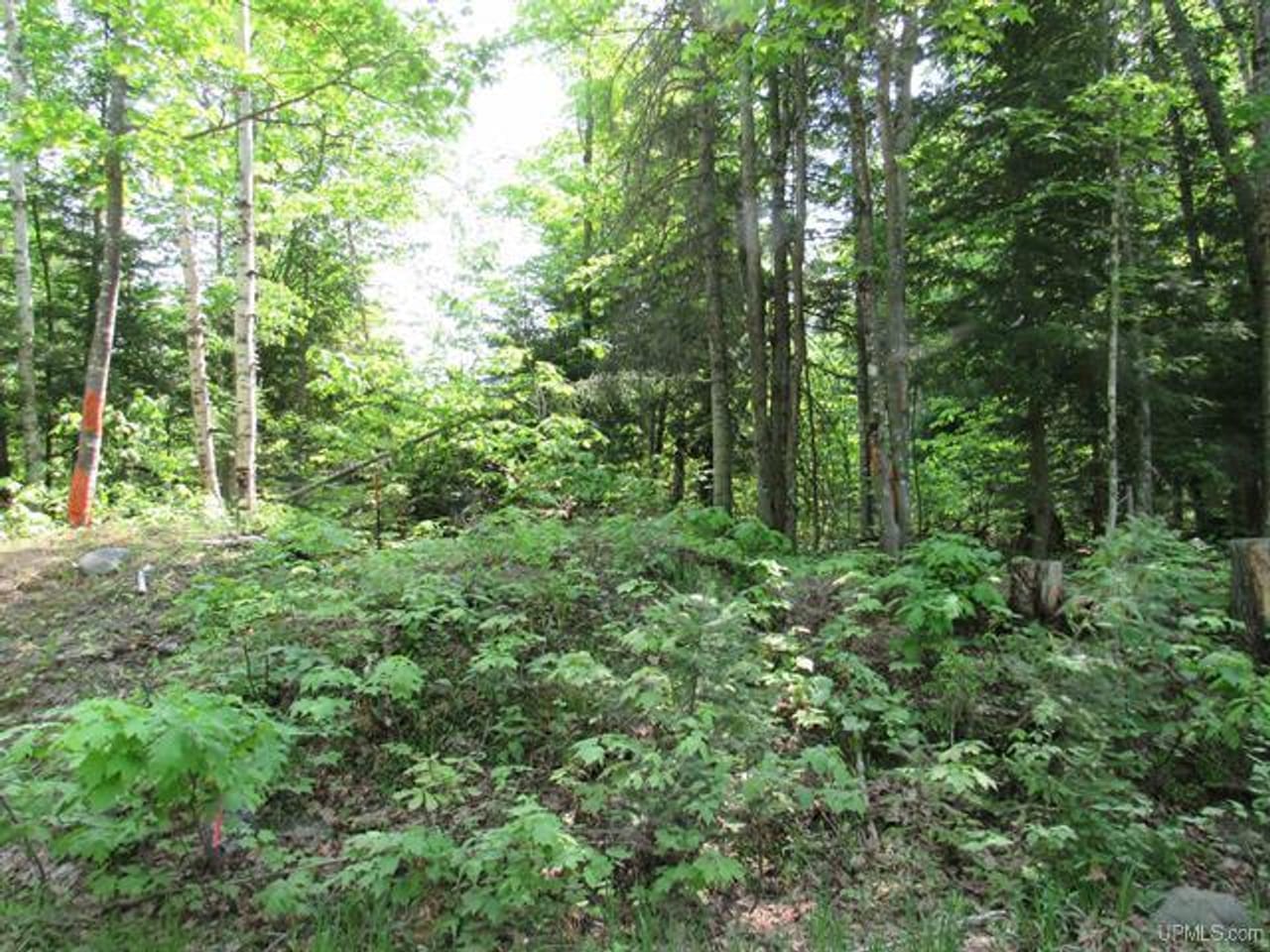 Listing Image 76