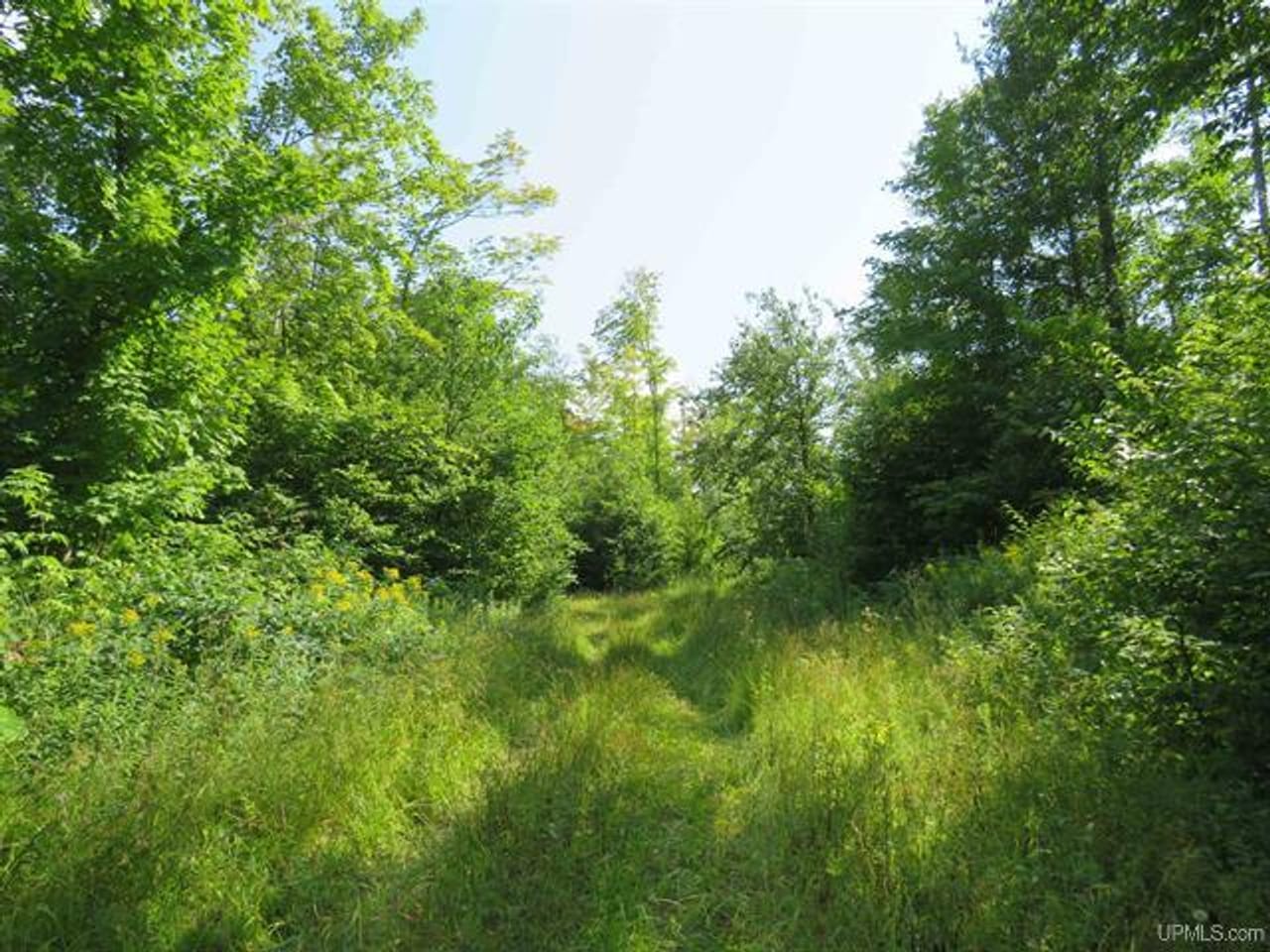 Listing Image 80
