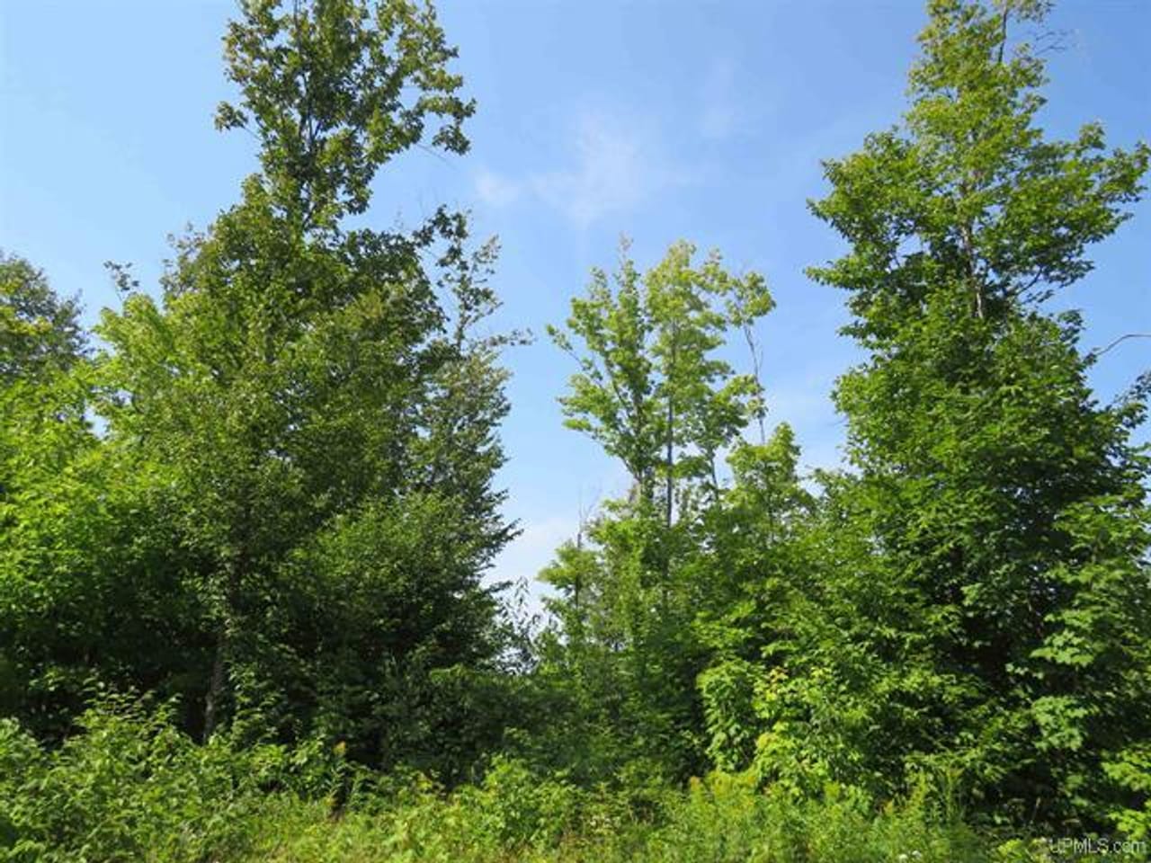 Listing Image 25
