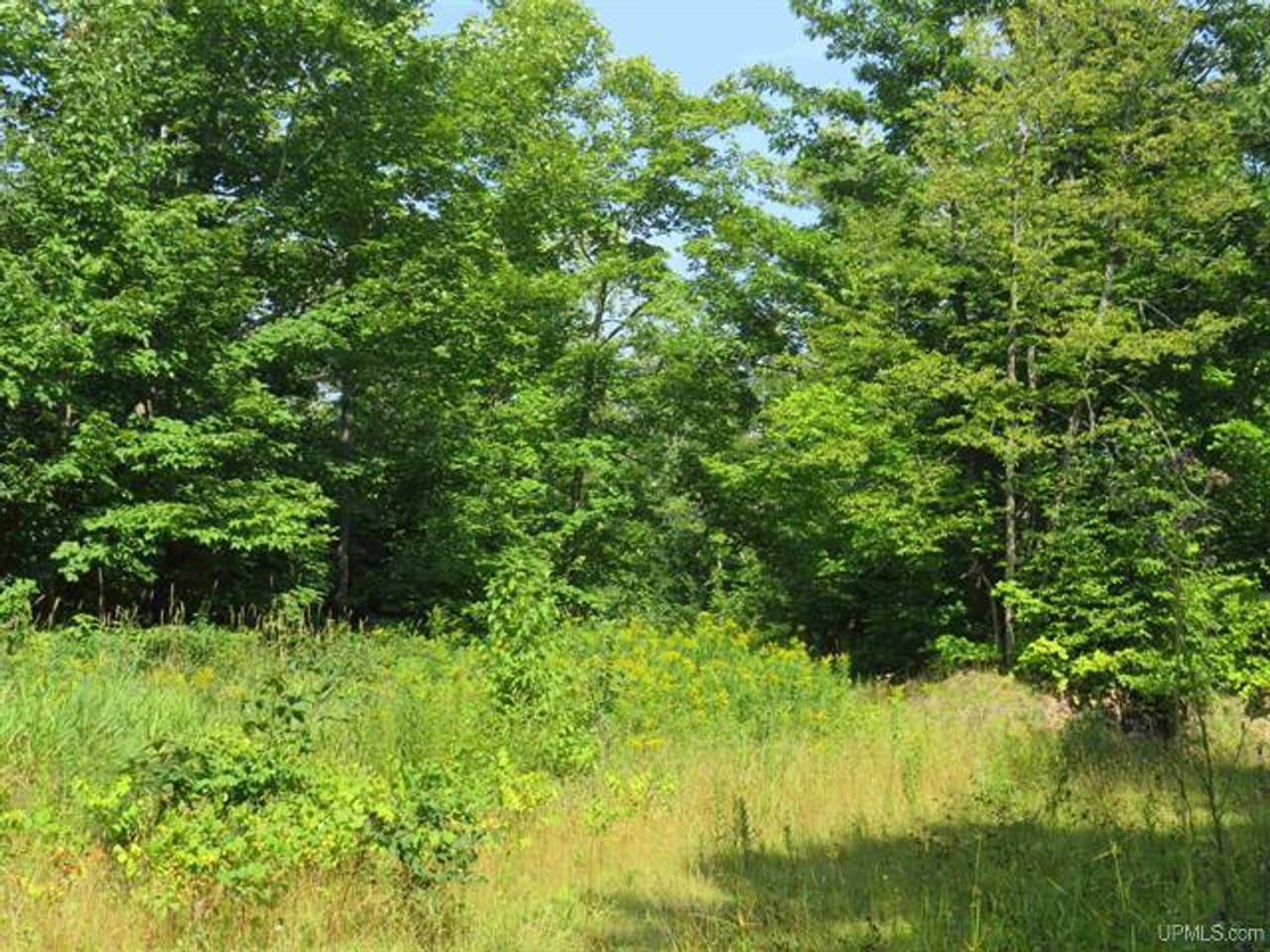 Listing Image 28